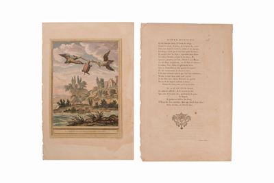 Jb Oudry Fable la Fontaine la Tortue Et Les Canards - Gravure Originale XVIIIème