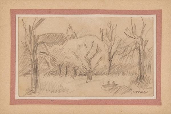 Fiorenzo Tomea - Paesaggio Cadorino