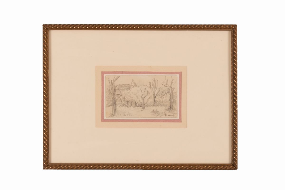 Fiorenzo Tomea - Paesaggio Cadorino