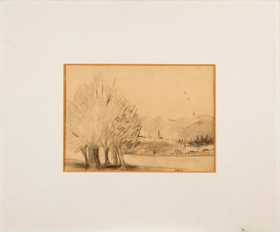 Alberi sul Lago