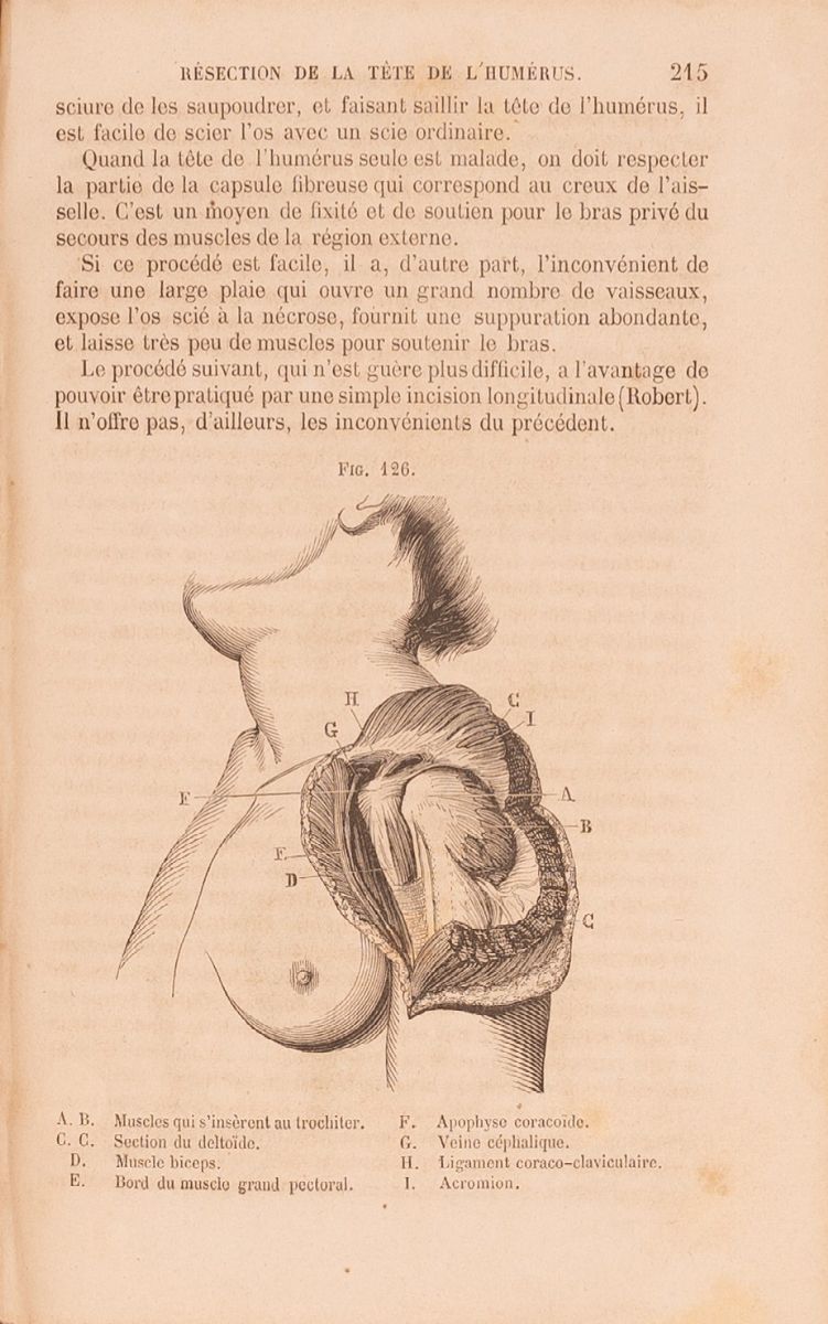 Lotto Medicina Manuali 6 Libri