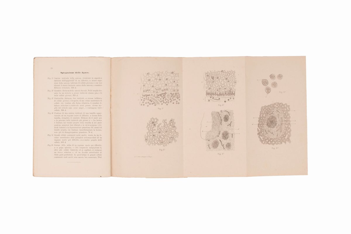 Lotto di 15 Volumi - Miscellanea Medicina