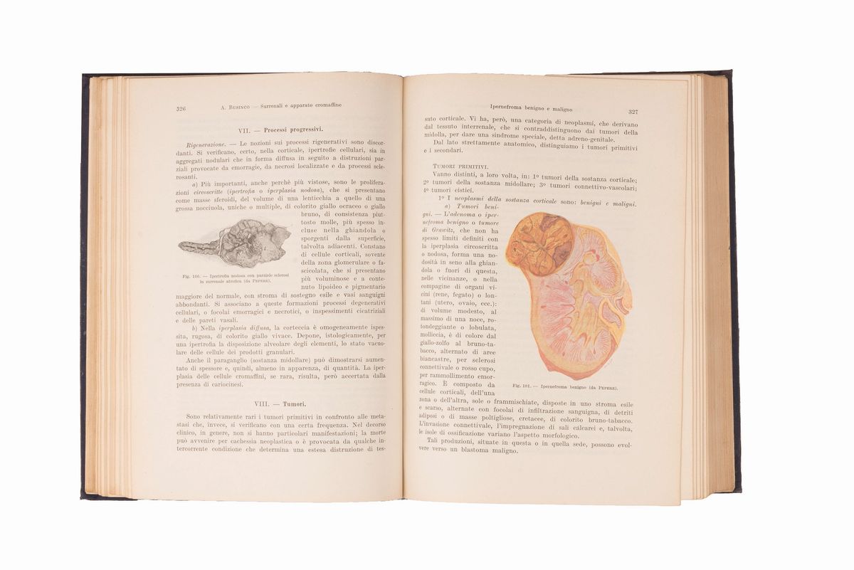 Lotto Manuali Medicina 900. 6 Libri