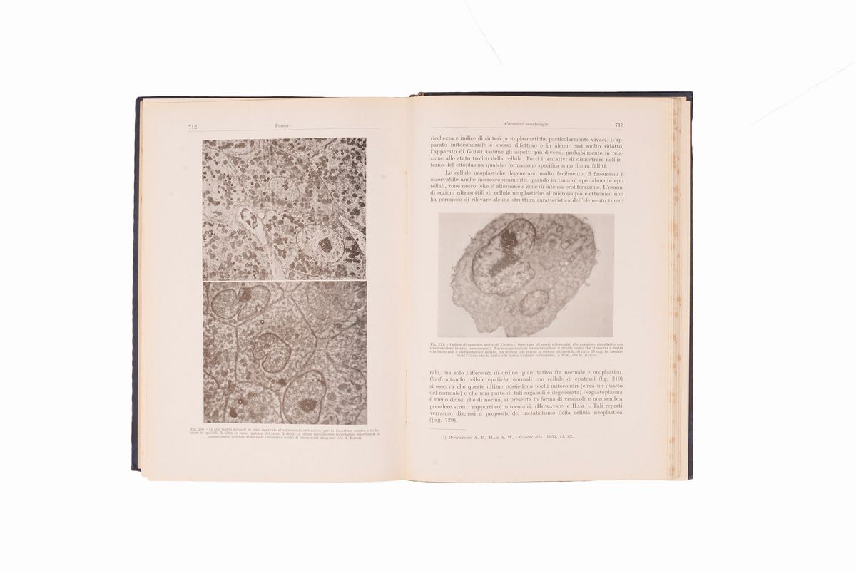 Lotto Manuali Medicina 900. 6 Libri
