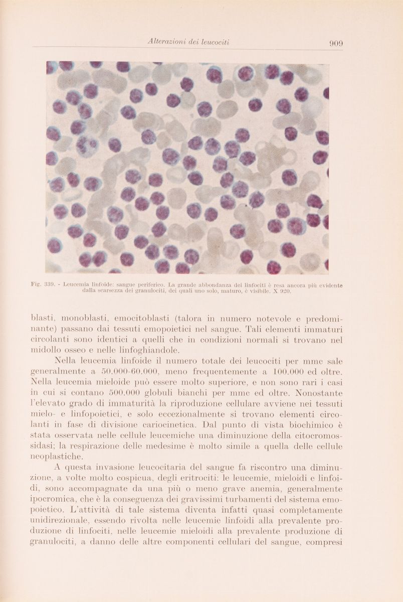 Lotto Manuali Medicina 900. 6 Libri