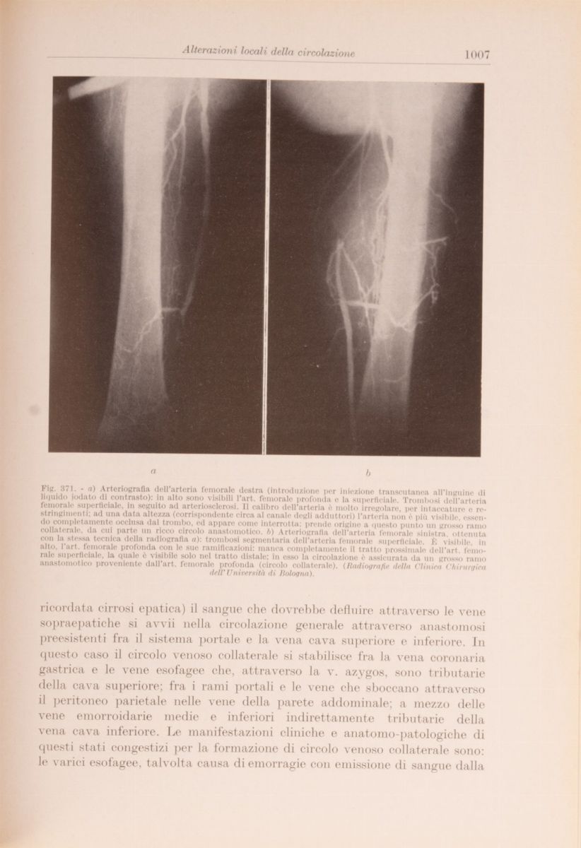 Lotto Manuali Medicina 900. 6 Libri