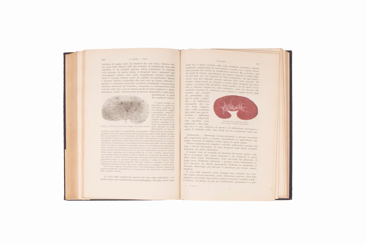 Lotto Manuali Medicina 900. 6 Libri