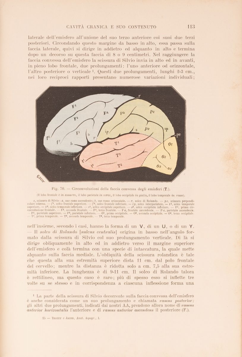 Lotto Varie Medicina '900