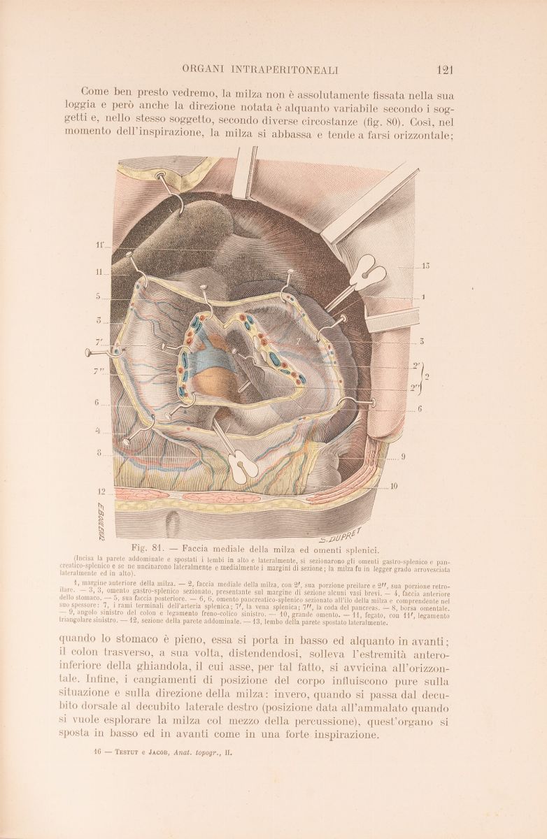 Lotto Varie Medicina '900