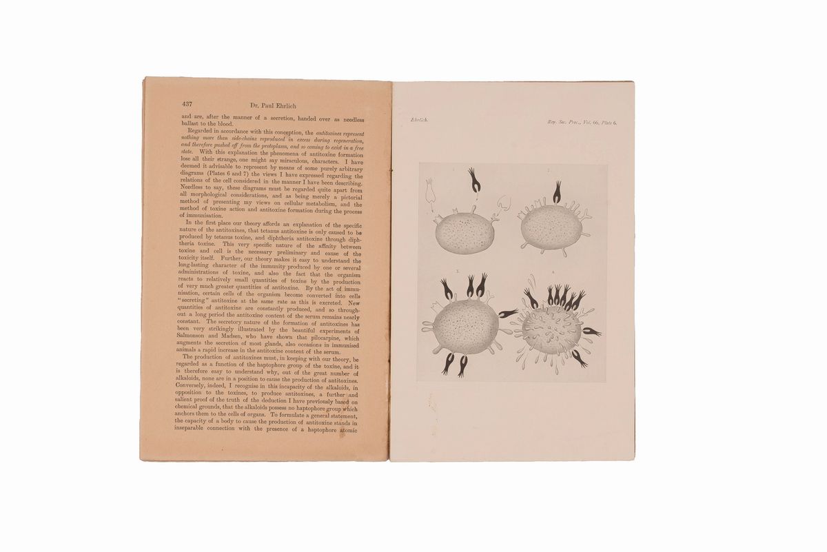 Lotto Malaria 11 Libri