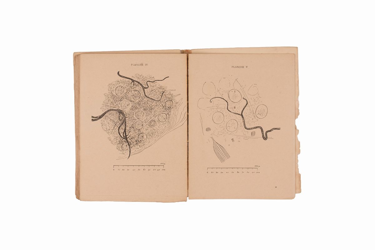 Lotto Malaria 11 Libri