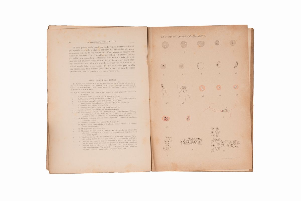 Lotto Malaria 11 Libri