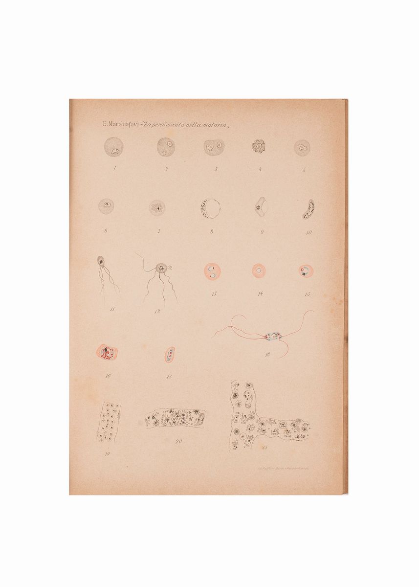 Lotto Malaria 11 Libri