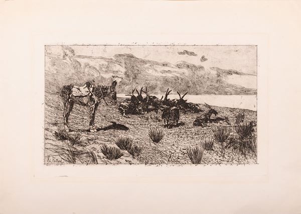 Giovanni Fattori : Le capre  - Auction Libri Antichi, Incisioni e Disegni - Gliubich Casa d'Aste