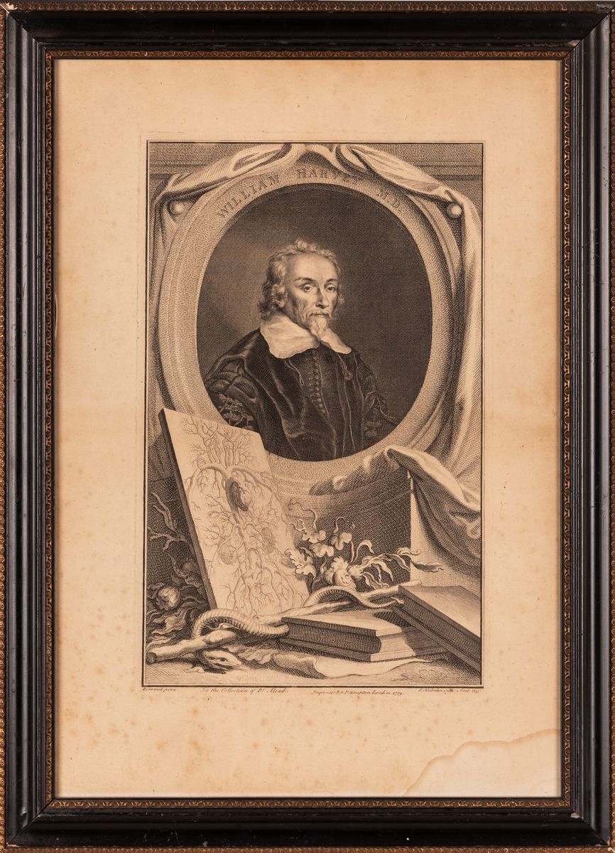 Ritratto originale in incisione su rame del medico inglese William Harvey