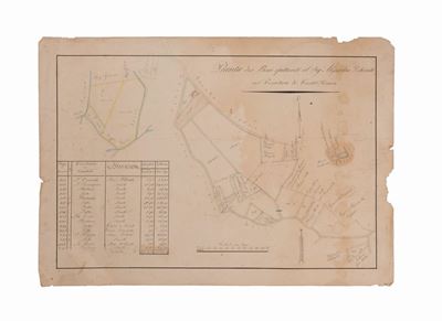 Pianta dei Beni Spettanti al Sig. Alessandro De Santis nel Territorio di Castelnuovo