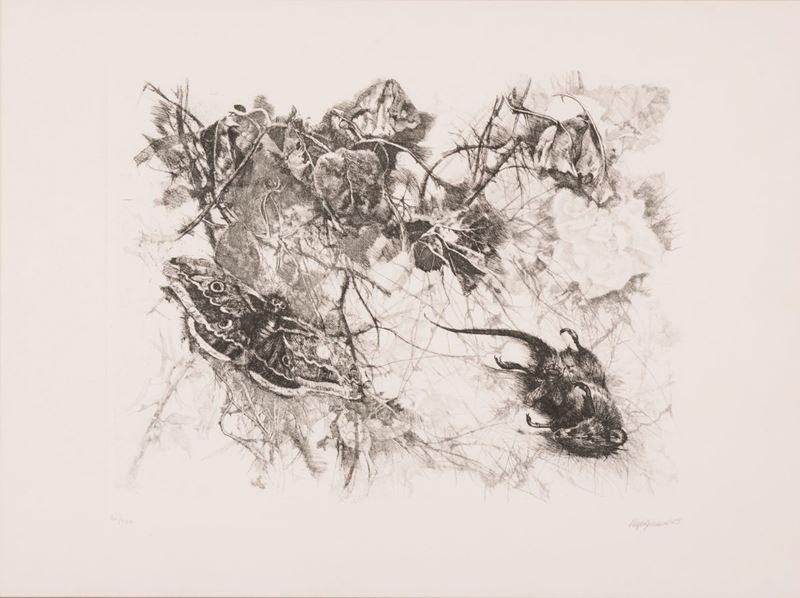 Renzo Vespignani - Natura Morta con Farfalla