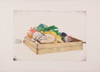 Natura Morta con Conchiglia