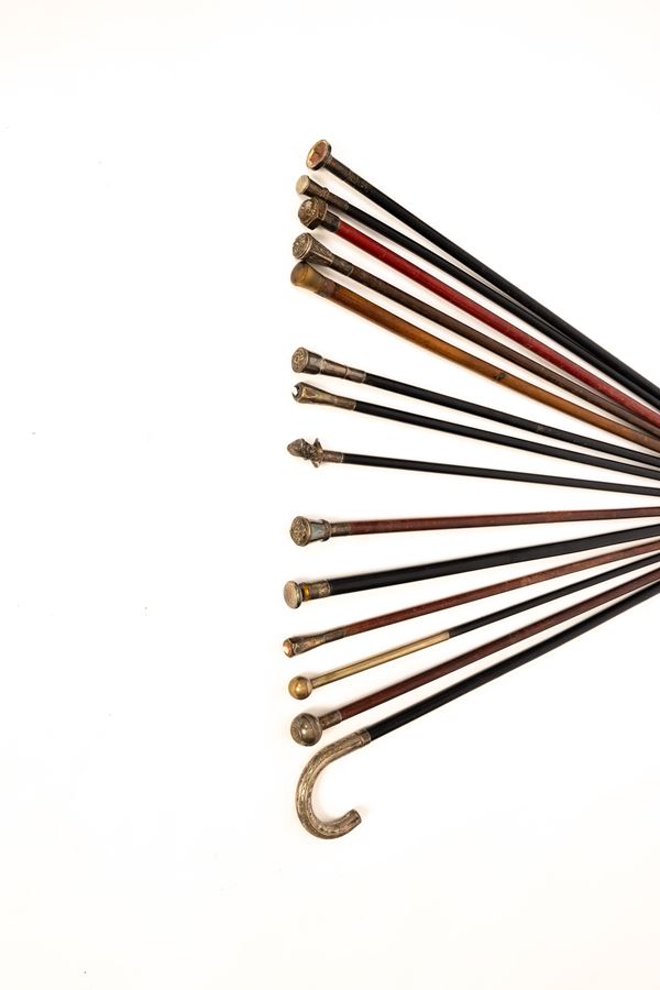 Collezione di 22 bastoni da passeggio