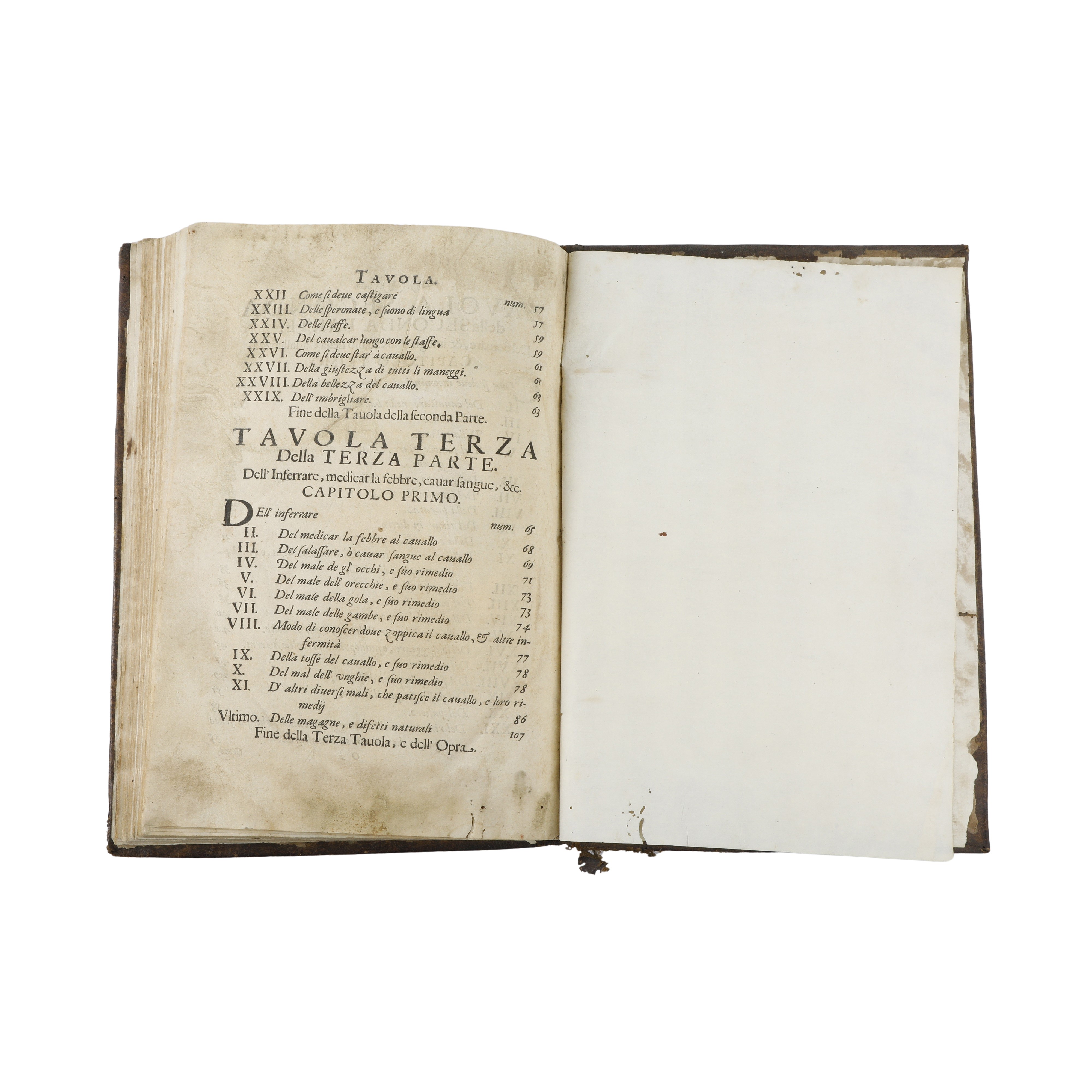 Il Cavallo da maneggio libro dove si tratta della nobilissima virtu del cavalcare…