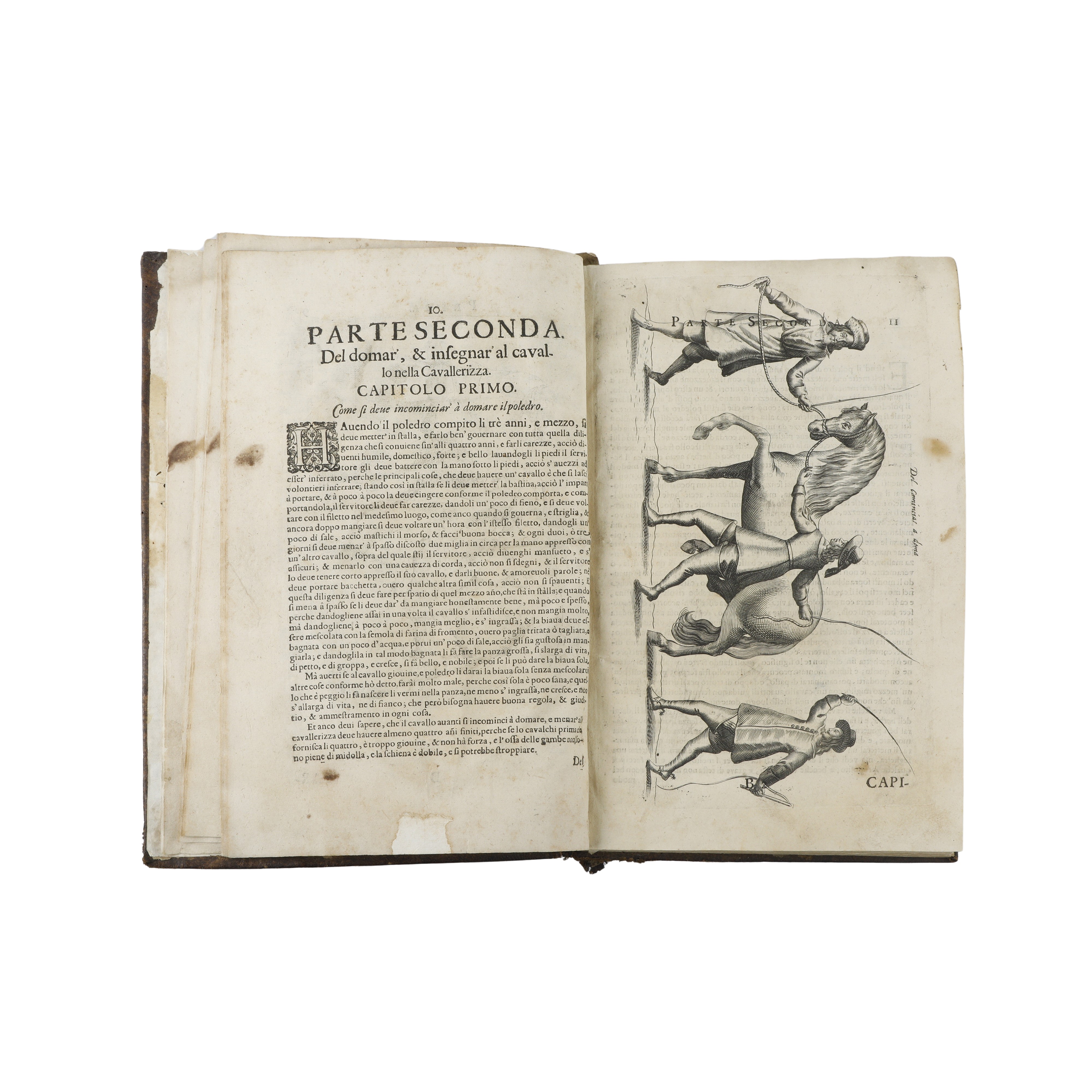 Il Cavallo da maneggio libro dove si tratta della nobilissima virtu del cavalcare…