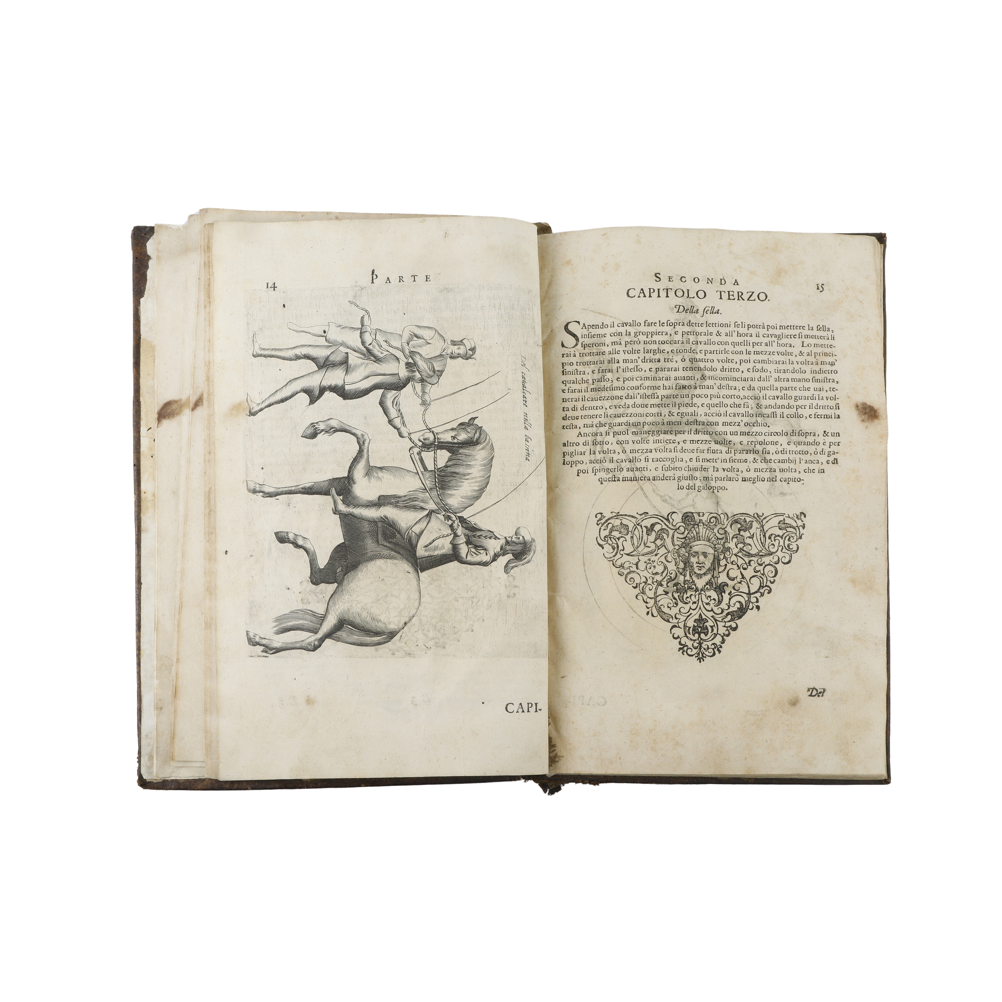 Il Cavallo da maneggio libro dove si tratta della nobilissima virtu del cavalcare…