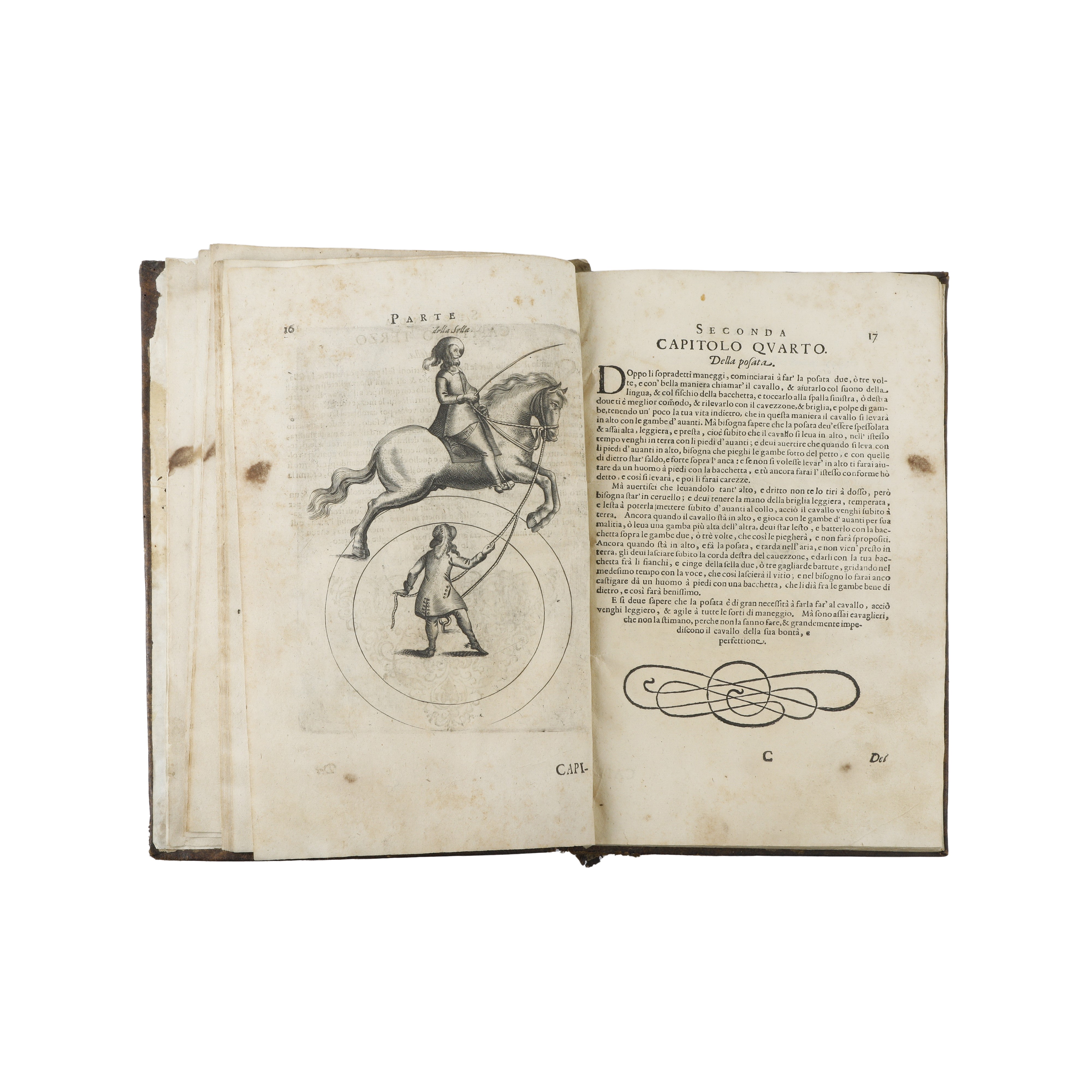 Il Cavallo da maneggio libro dove si tratta della nobilissima virtu del cavalcare…