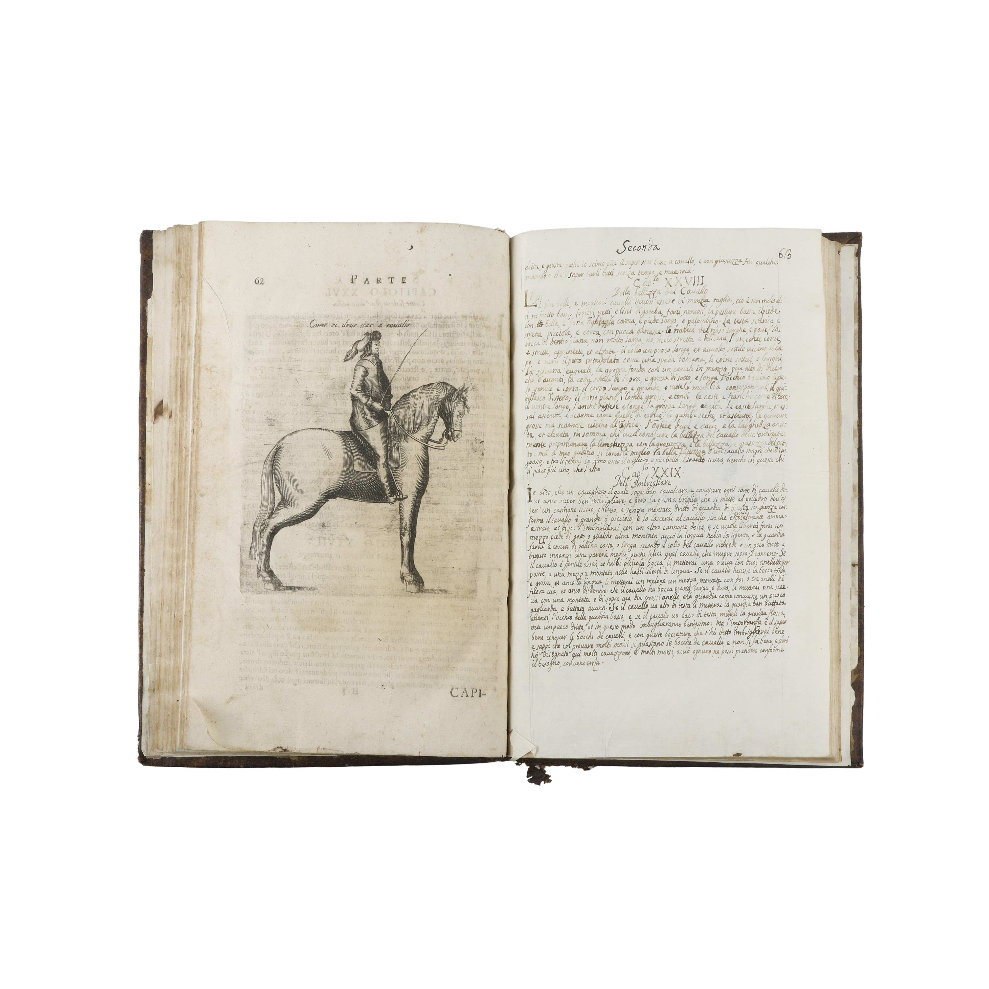 Il Cavallo da maneggio libro dove si tratta della nobilissima virtu del cavalcare…