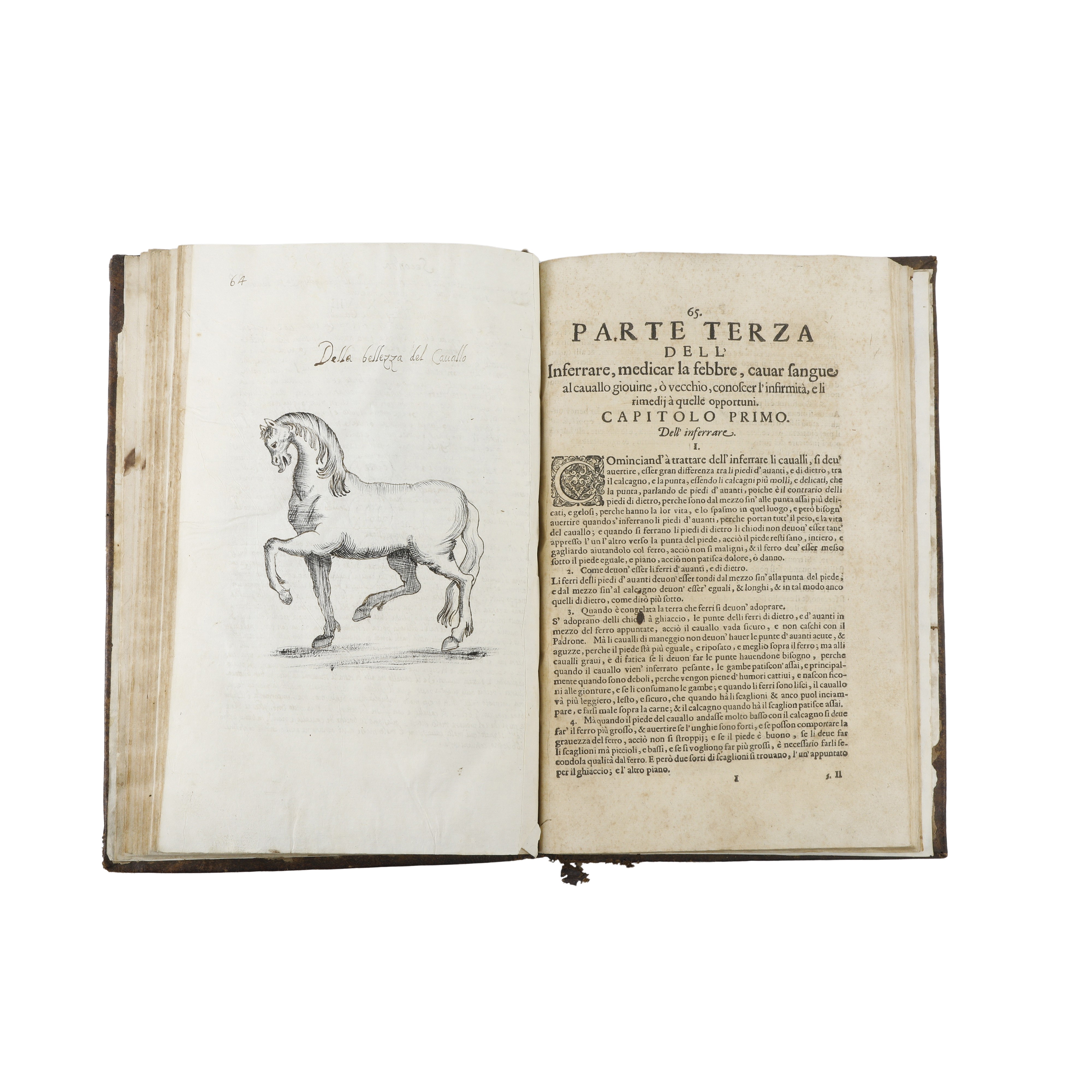 Il Cavallo da maneggio libro dove si tratta della nobilissima virtu del cavalcare…