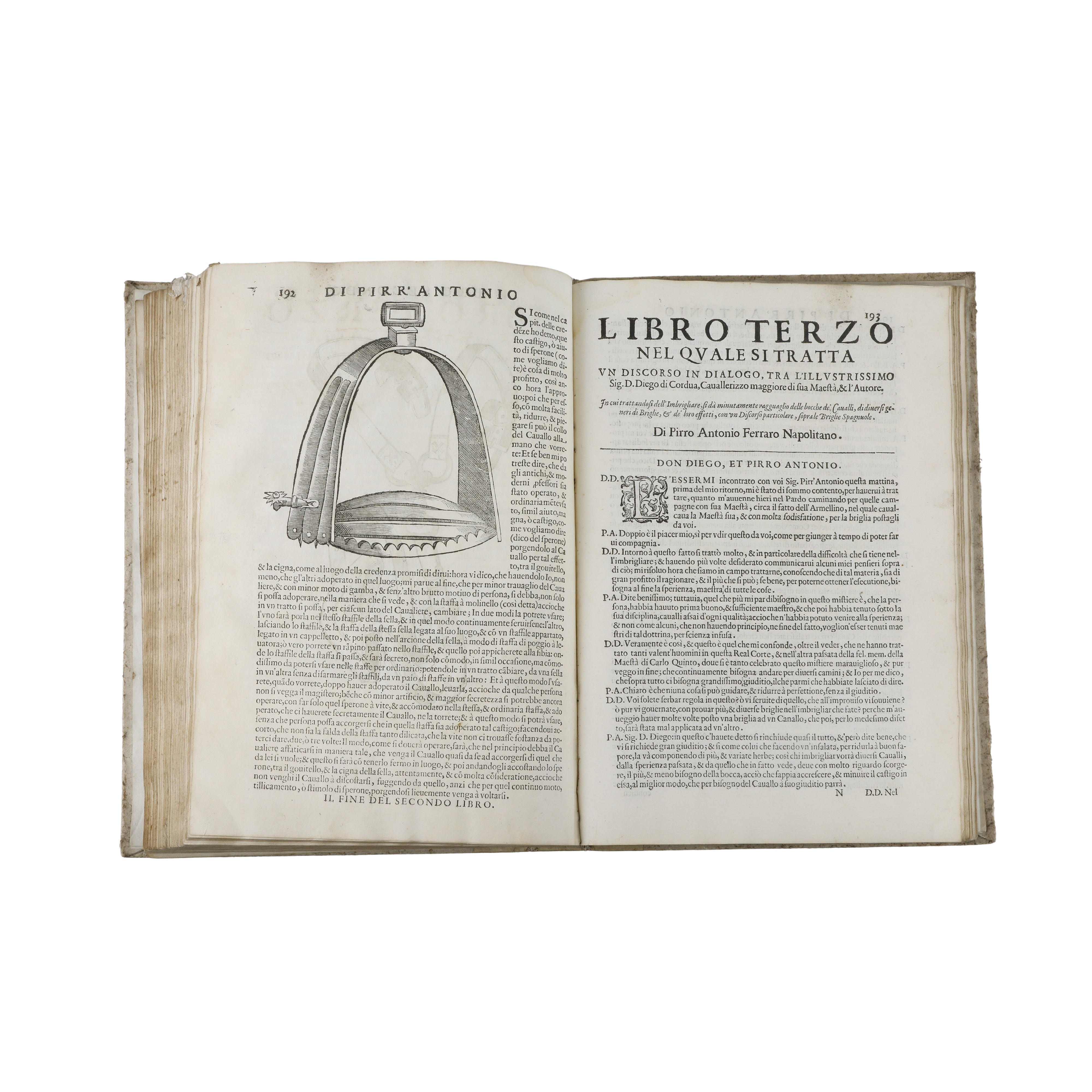Cavallo Frenato di Pirro Antonio Ferraro Napolitano