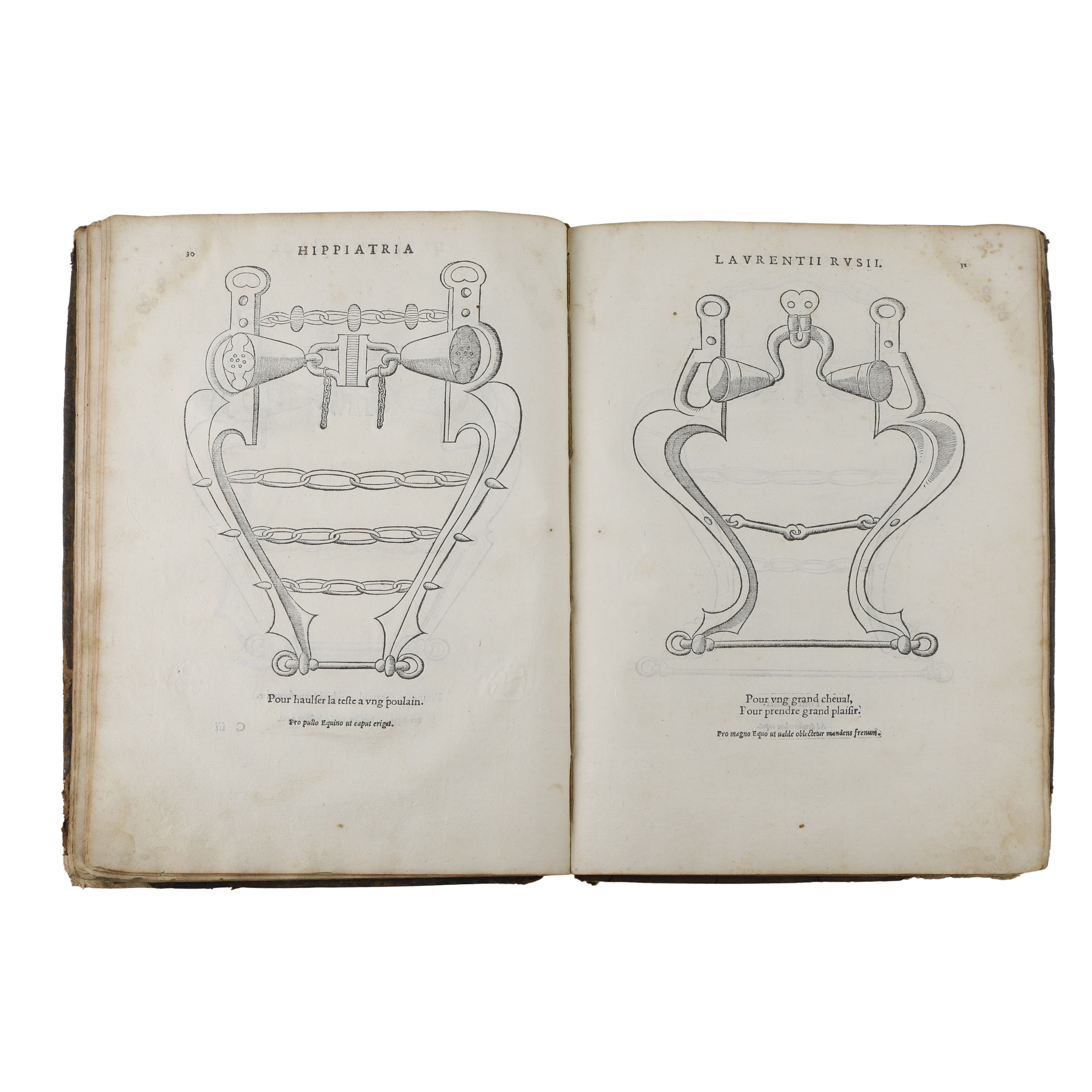 Hippiatria sive Marescalia di Laurentius Rusius diacono Cardinale