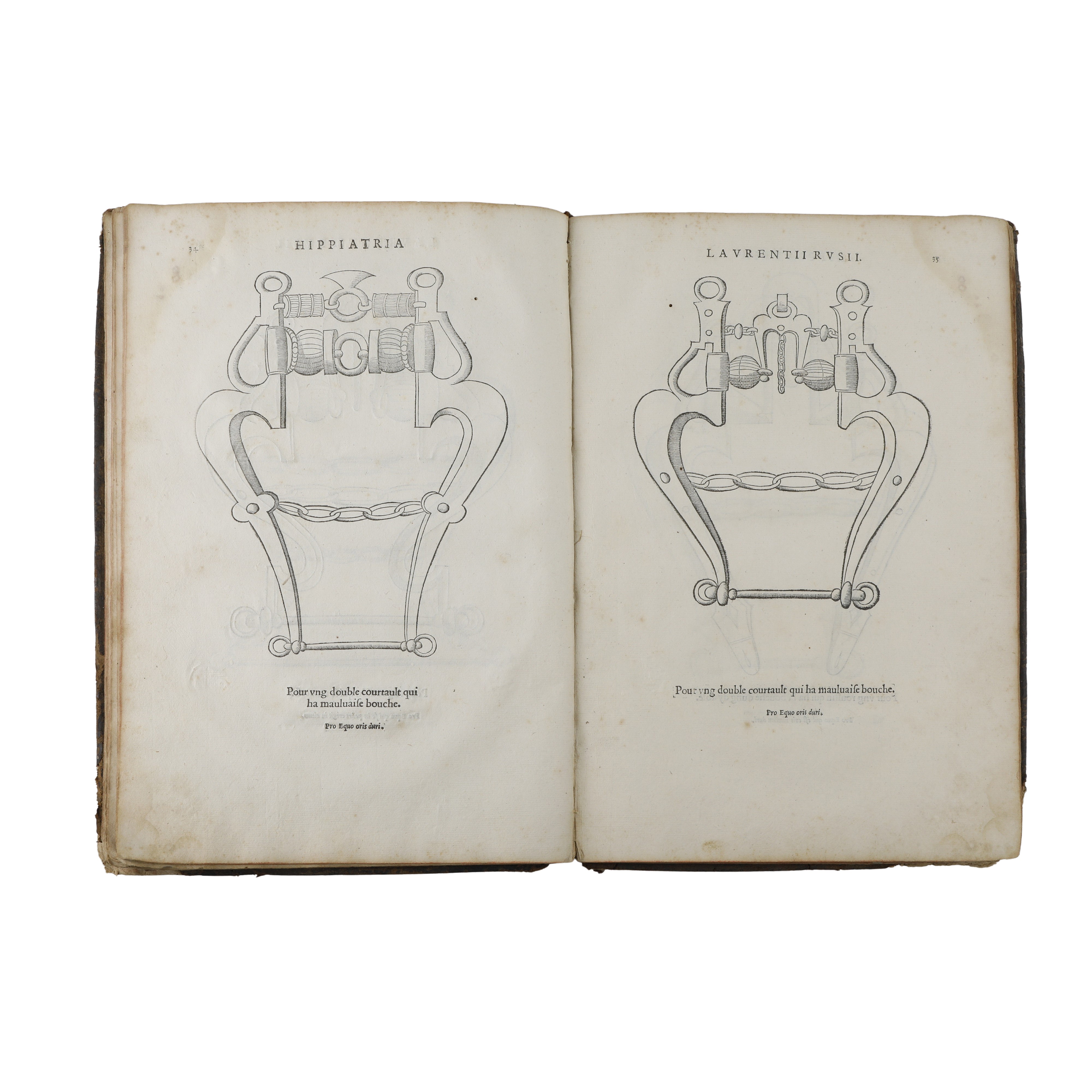 Hippiatria sive Marescalia di Laurentius Rusius diacono Cardinale