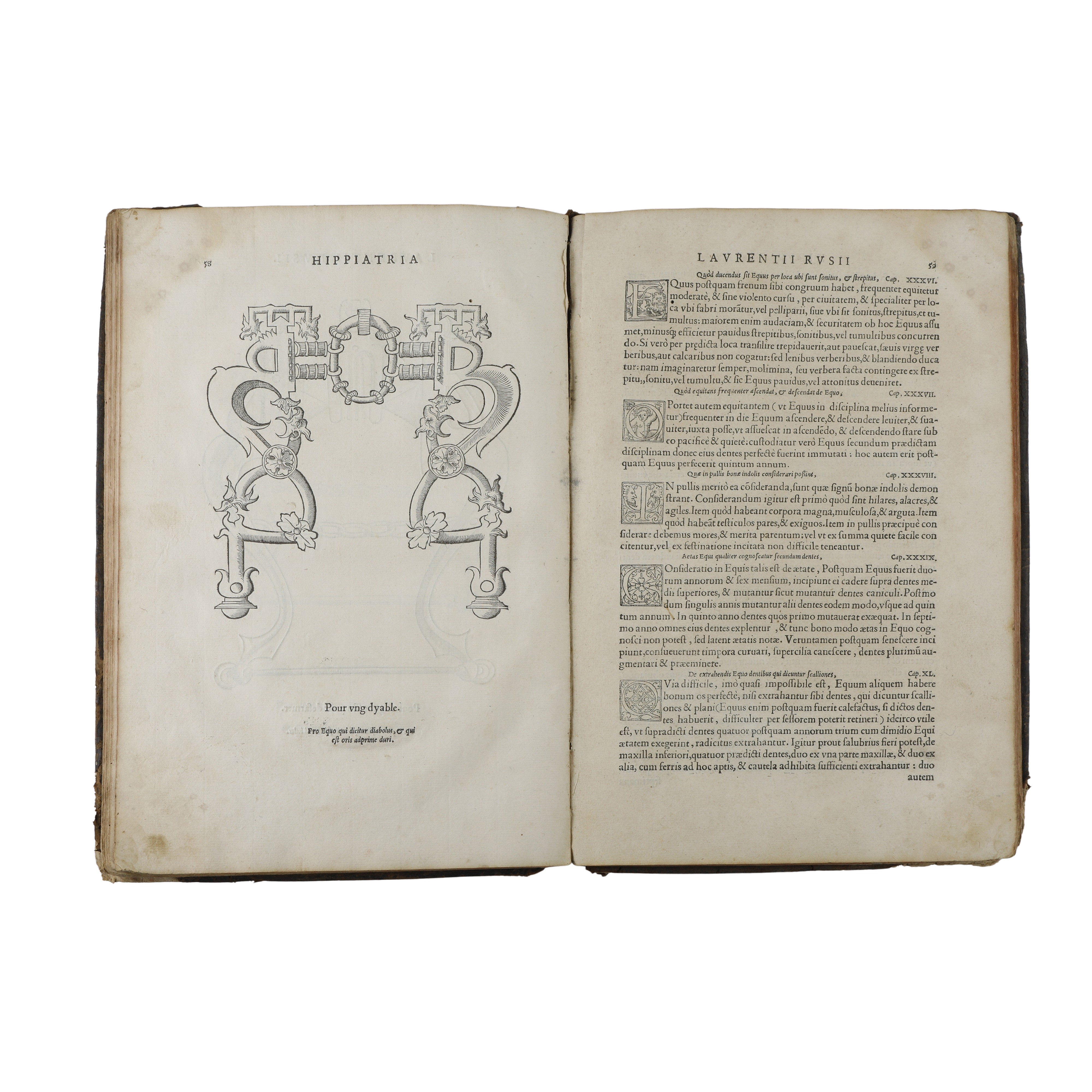 Hippiatria sive Marescalia di Laurentius Rusius diacono Cardinale