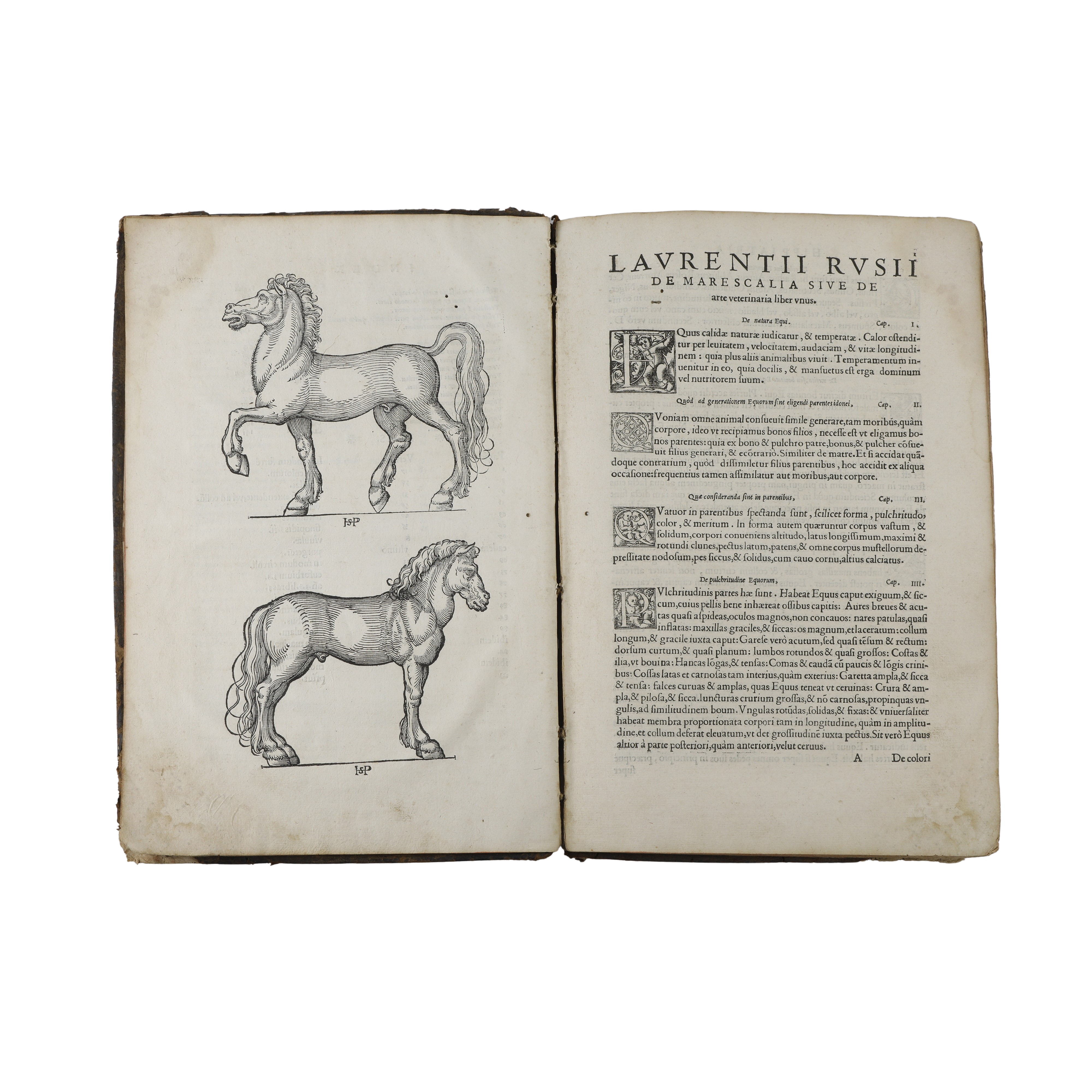 Hippiatria sive Marescalia di Laurentius Rusius diacono Cardinale