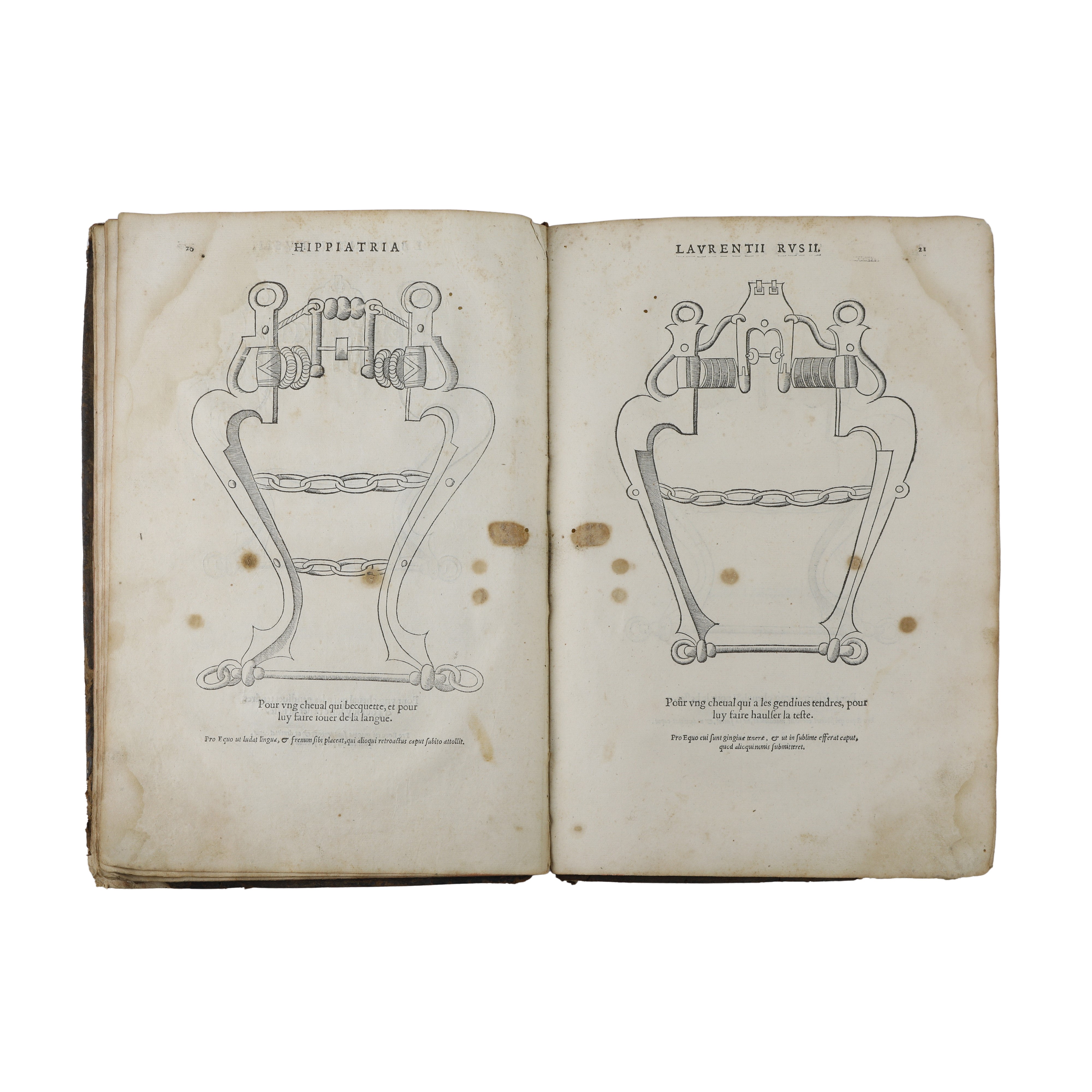 Hippiatria sive Marescalia di Laurentius Rusius diacono Cardinale