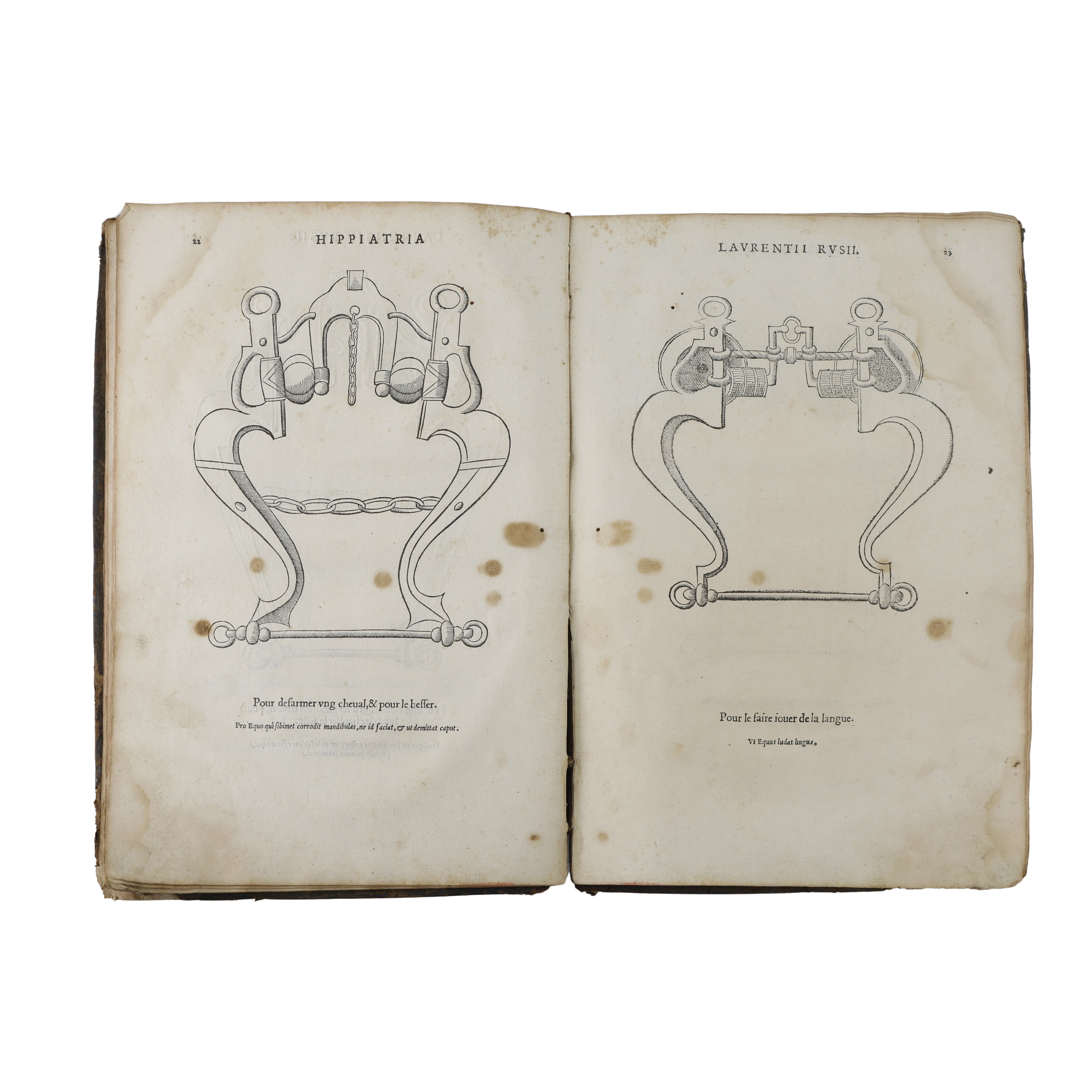 Hippiatria sive Marescalia di Laurentius Rusius diacono Cardinale