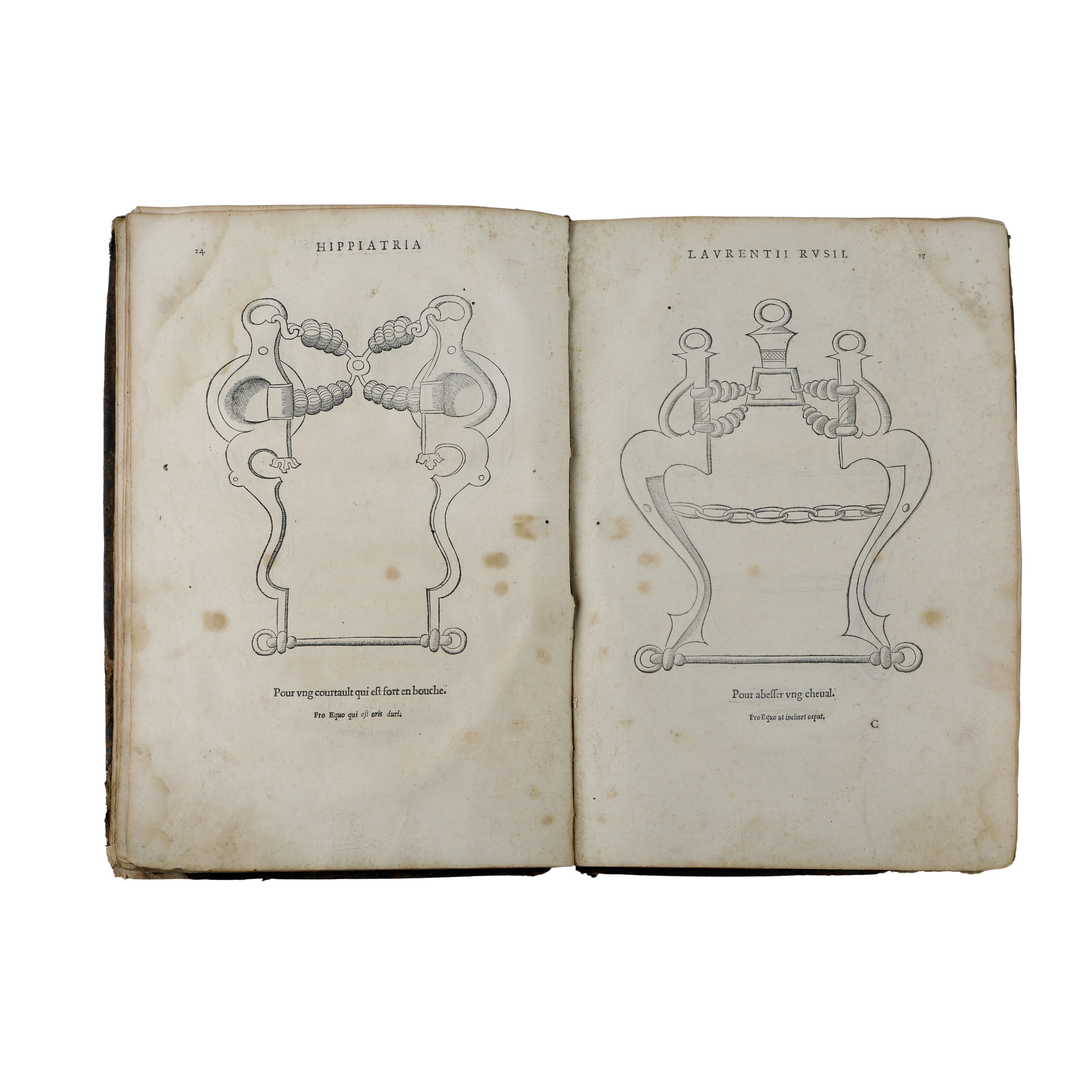 Hippiatria sive Marescalia di Laurentius Rusius diacono Cardinale