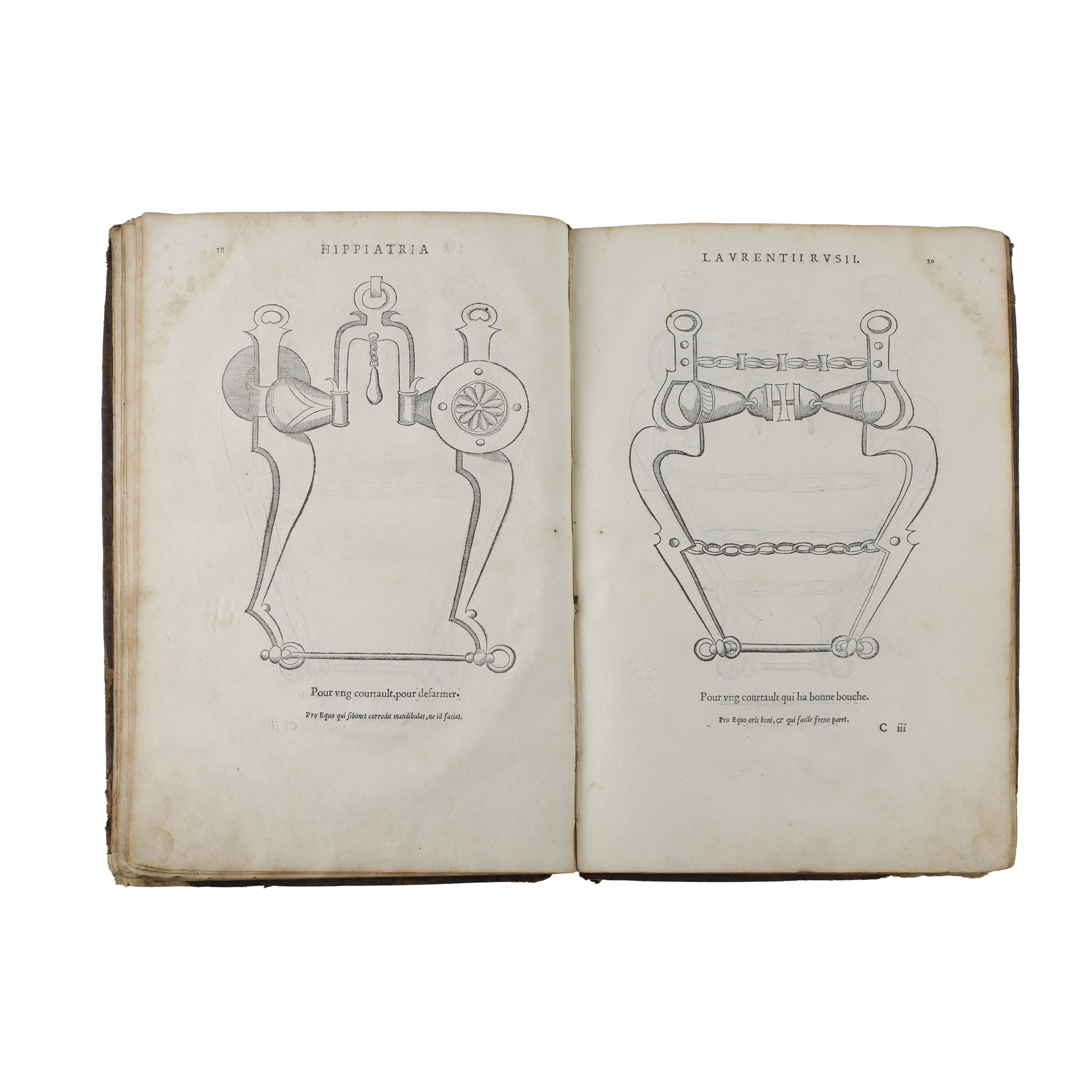 Hippiatria sive Marescalia di Laurentius Rusius diacono Cardinale