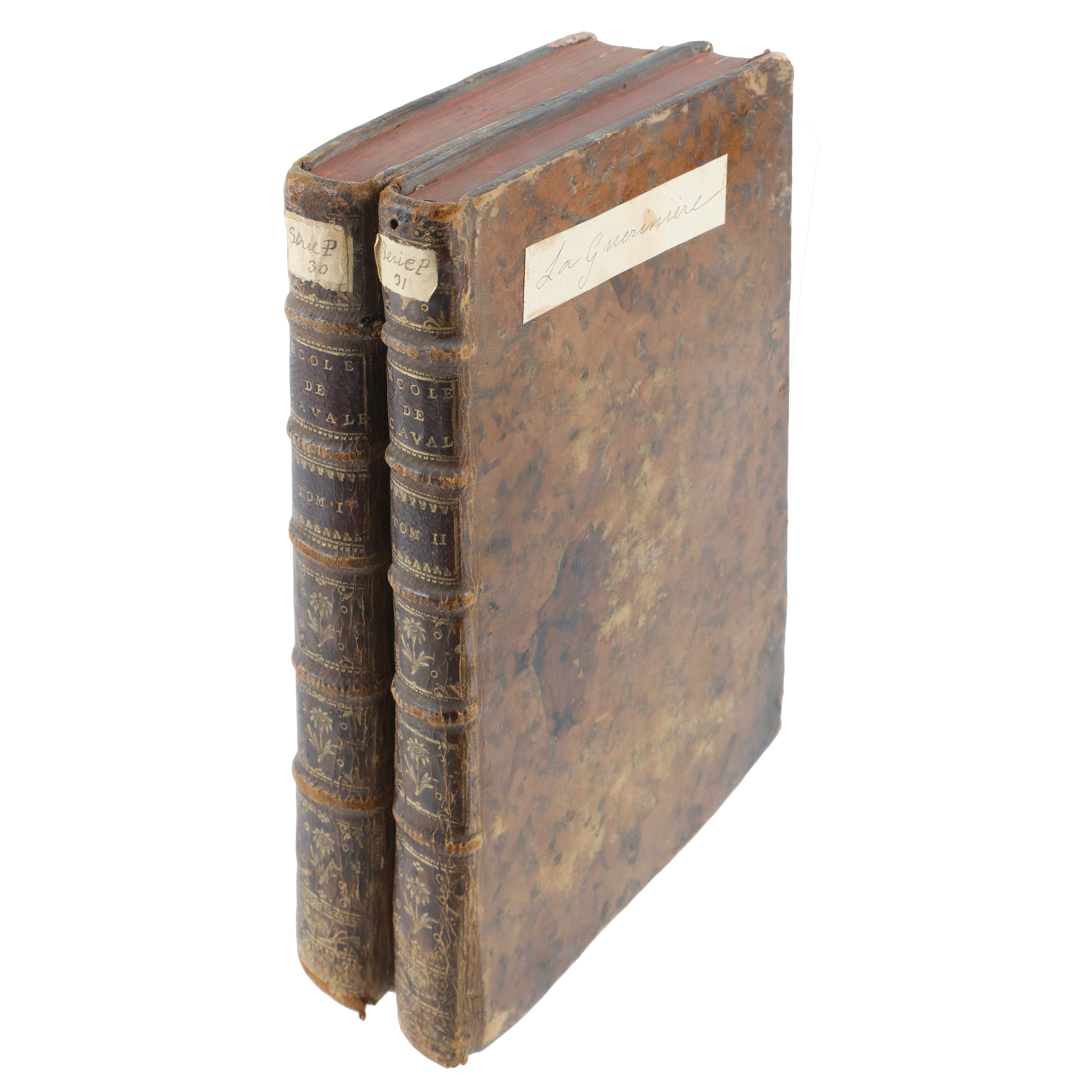 Ecole de cavalerie: contenant la connoissance, l’instruction, et la cemservation du cheval (Vol 1...