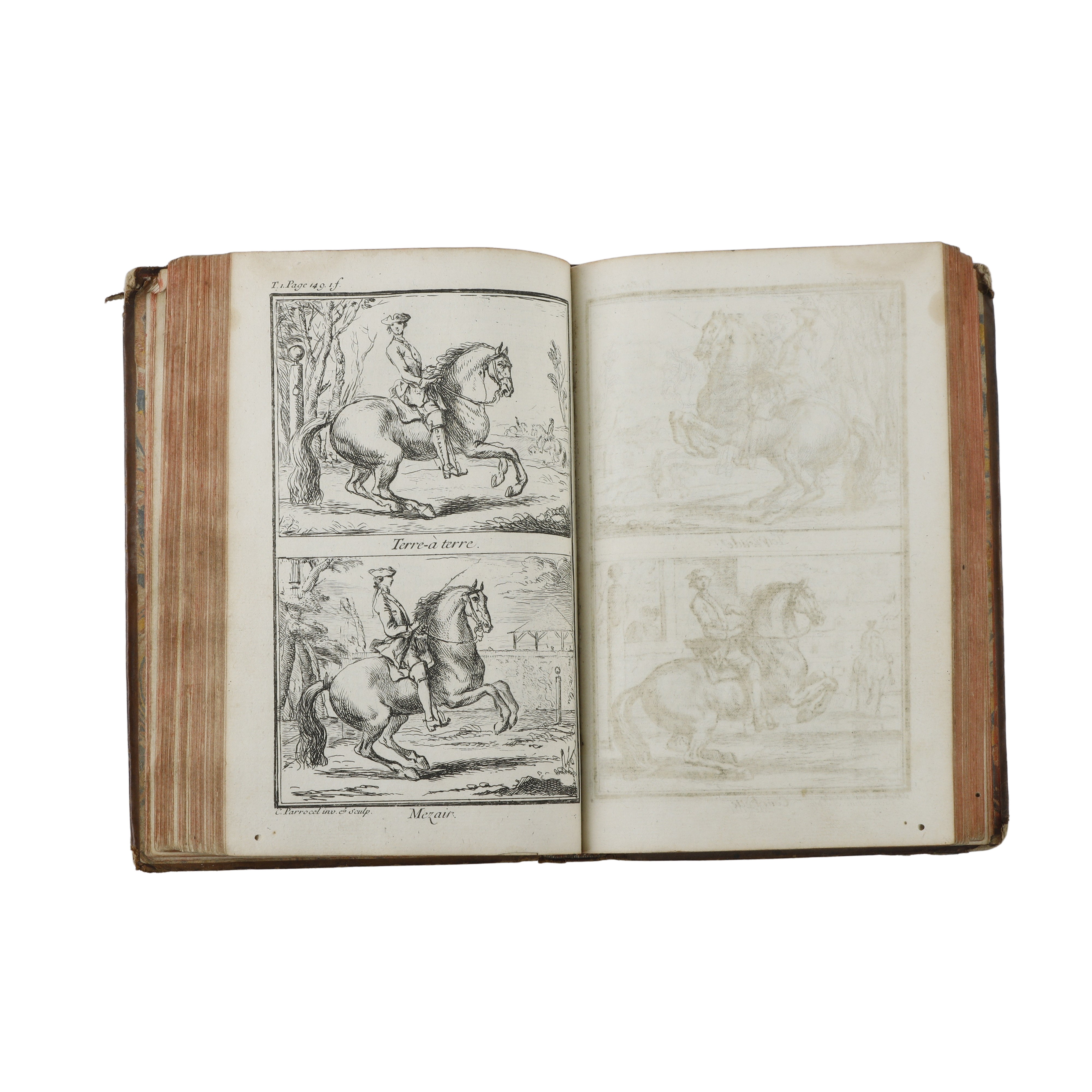 Ecole de cavalerie: contenant la connoissance, l’instruction, et la cemservation du cheval (Vol 1...