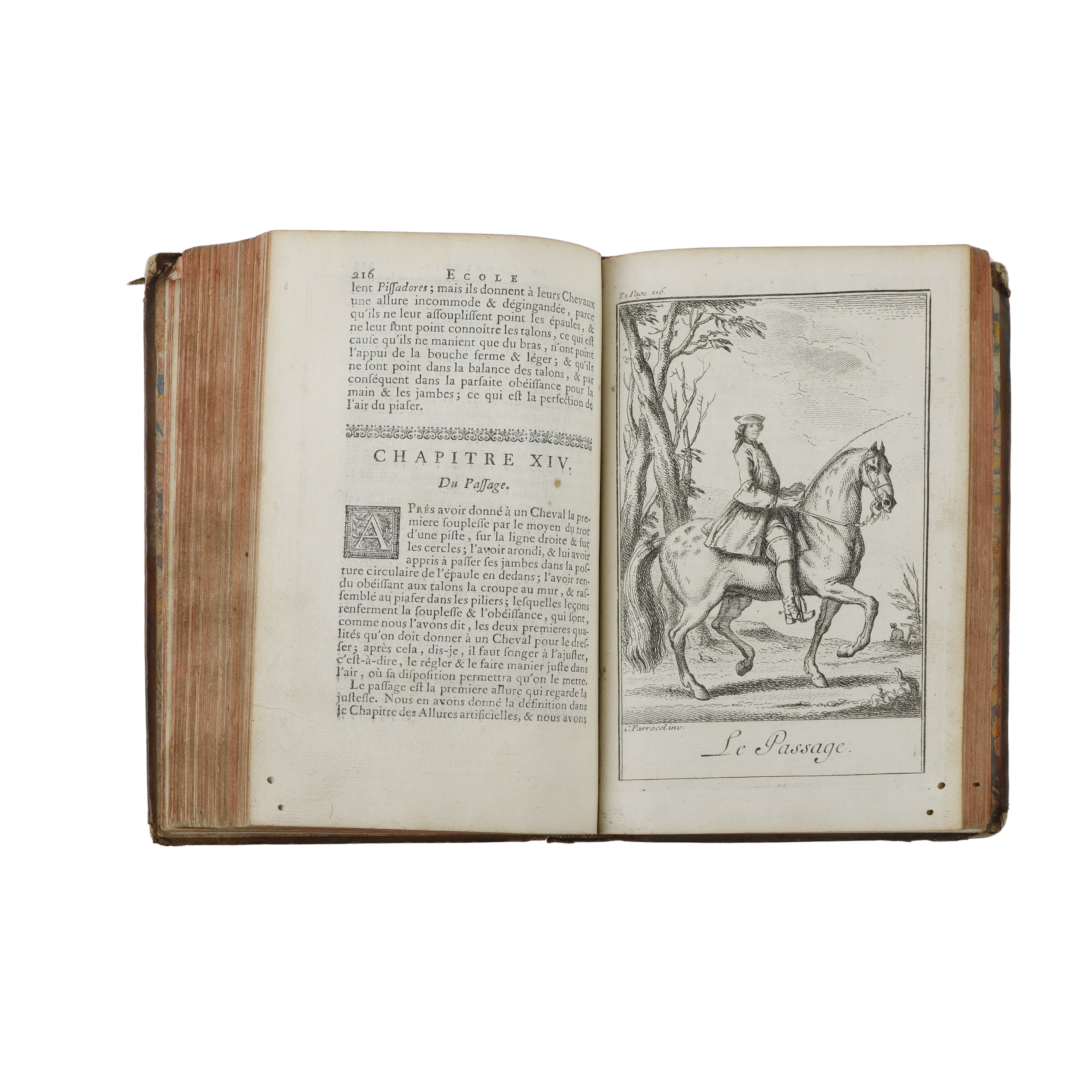 Ecole de cavalerie: contenant la connoissance, l’instruction, et la cemservation du cheval (Vol 1...