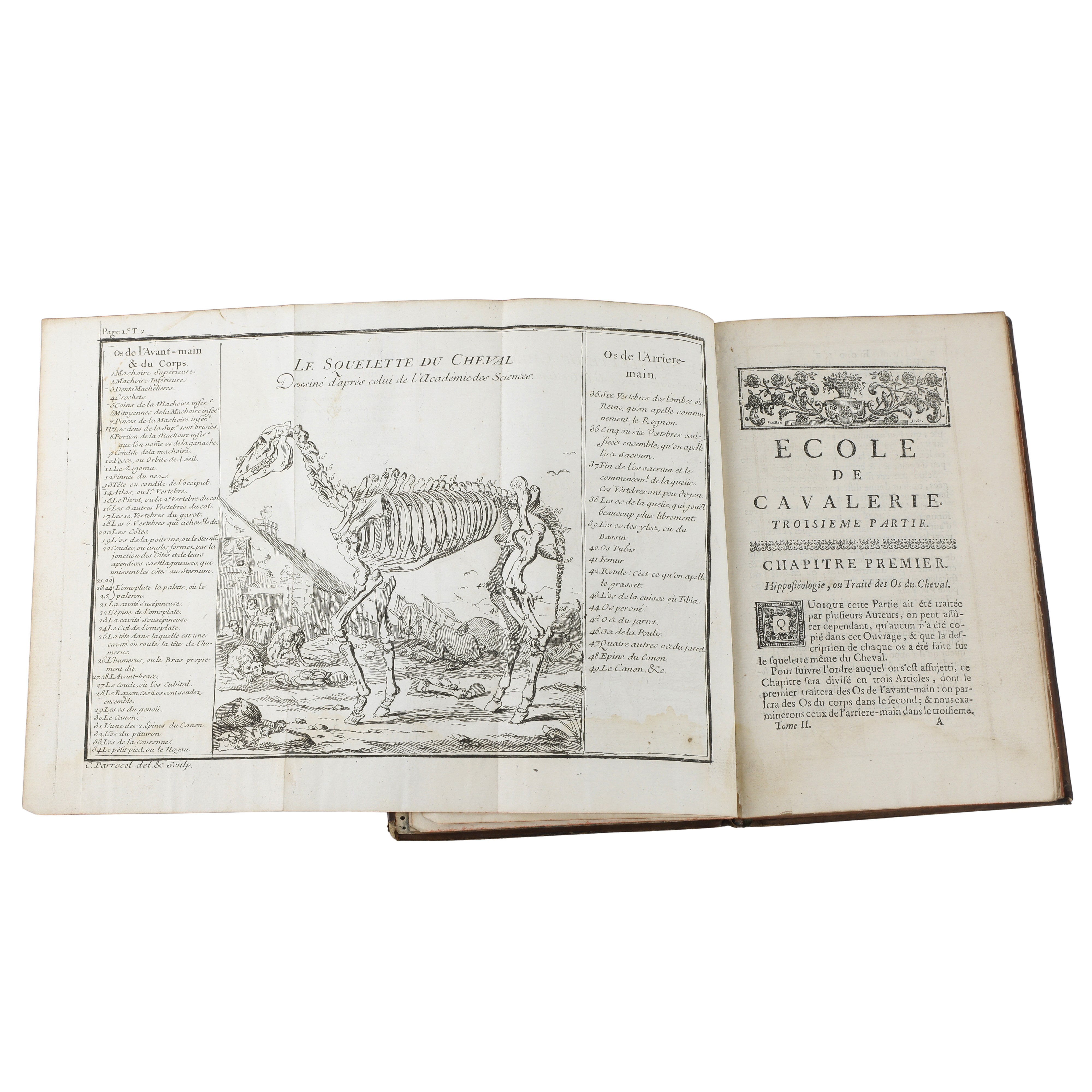 Ecole de cavalerie: contenant la connoissance, l’instruction, et la cemservation du cheval (Vol 1...