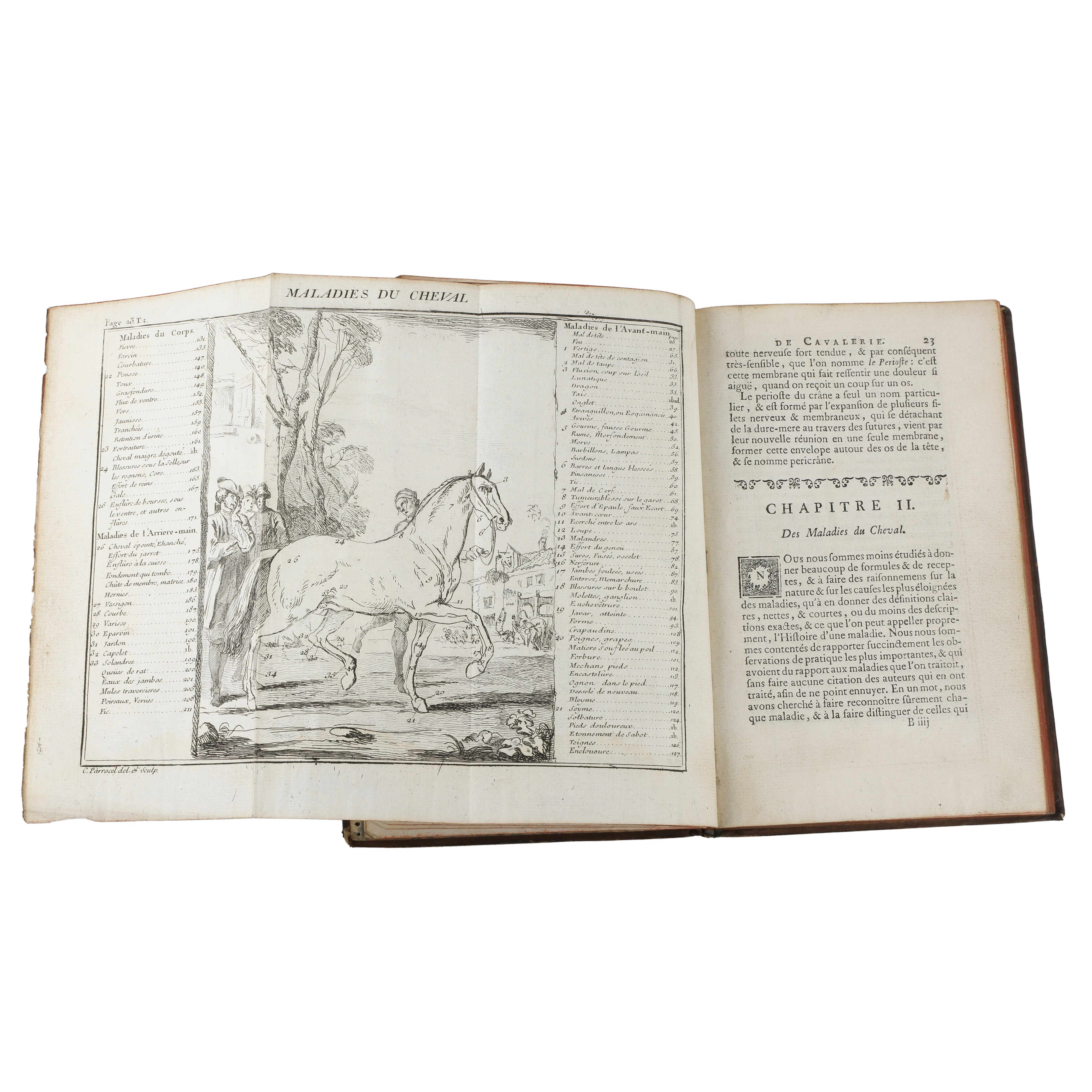 Ecole de cavalerie: contenant la connoissance, l’instruction, et la cemservation du cheval (Vol 1...