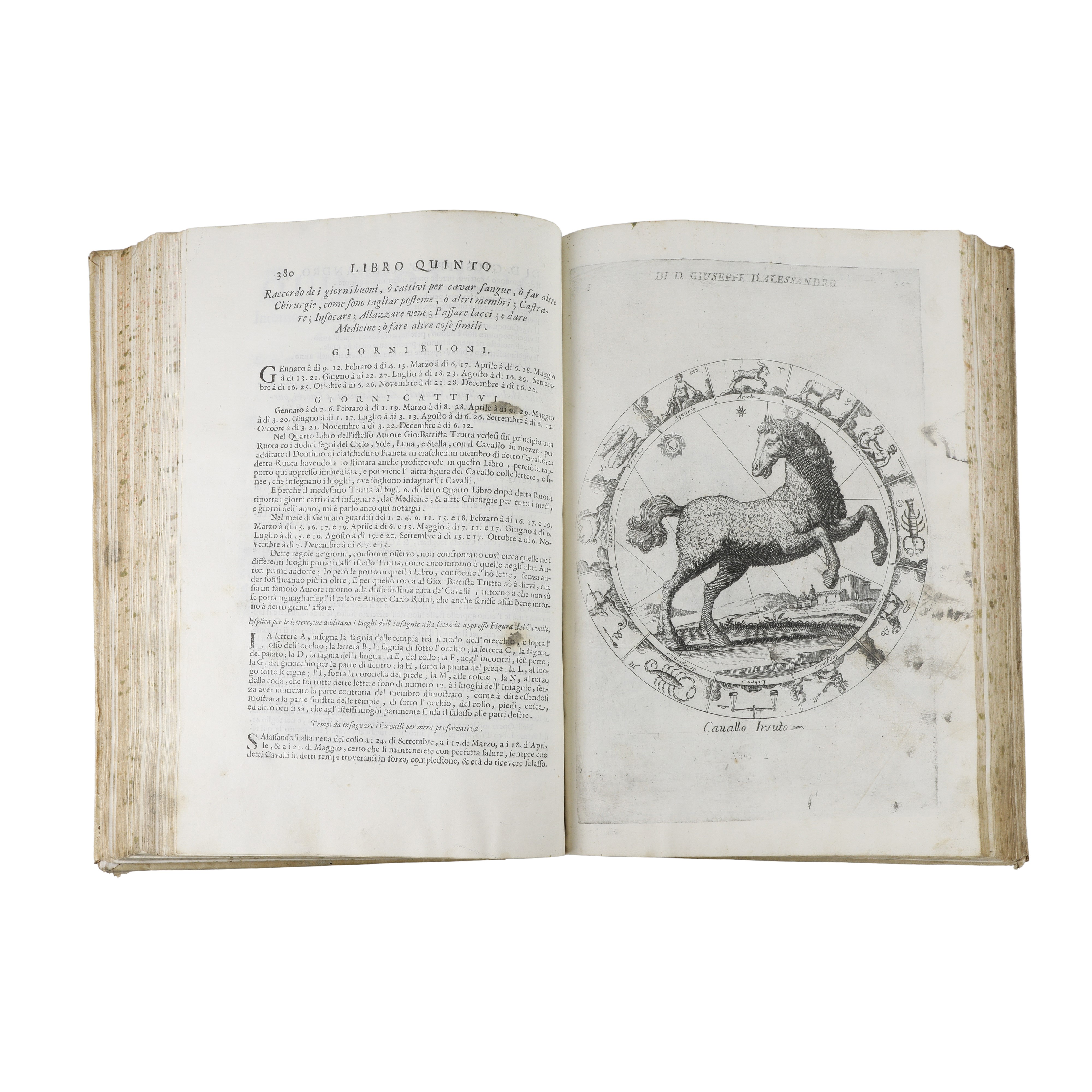 Opera di Giuseppe D’Alessandro Duca di Peschiolanciano divisa in cinque libri nei quali si tratta...