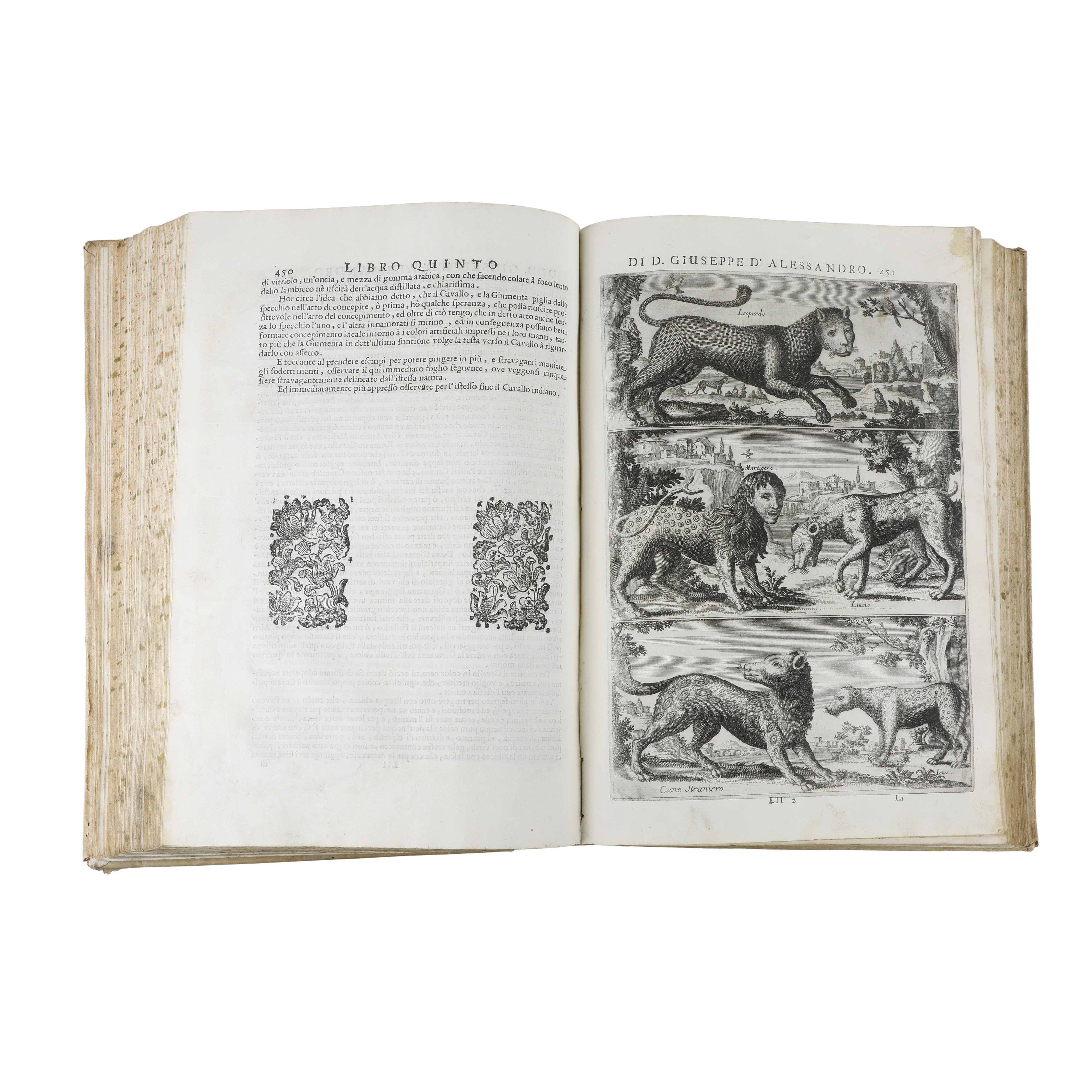 Opera di Giuseppe D’Alessandro Duca di Peschiolanciano divisa in cinque libri nei quali si tratta...