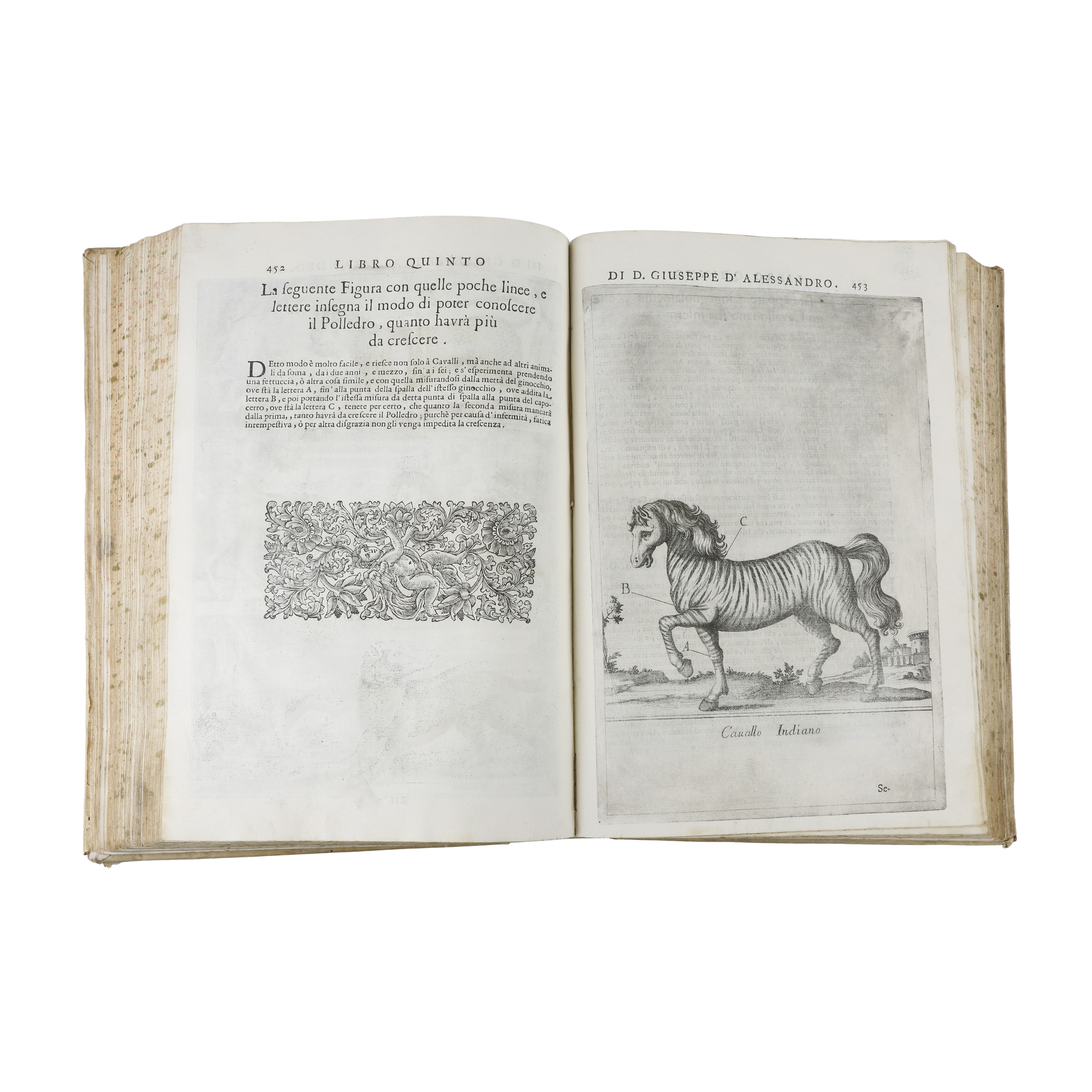 Opera di Giuseppe D’Alessandro Duca di Peschiolanciano divisa in cinque libri nei quali si tratta...