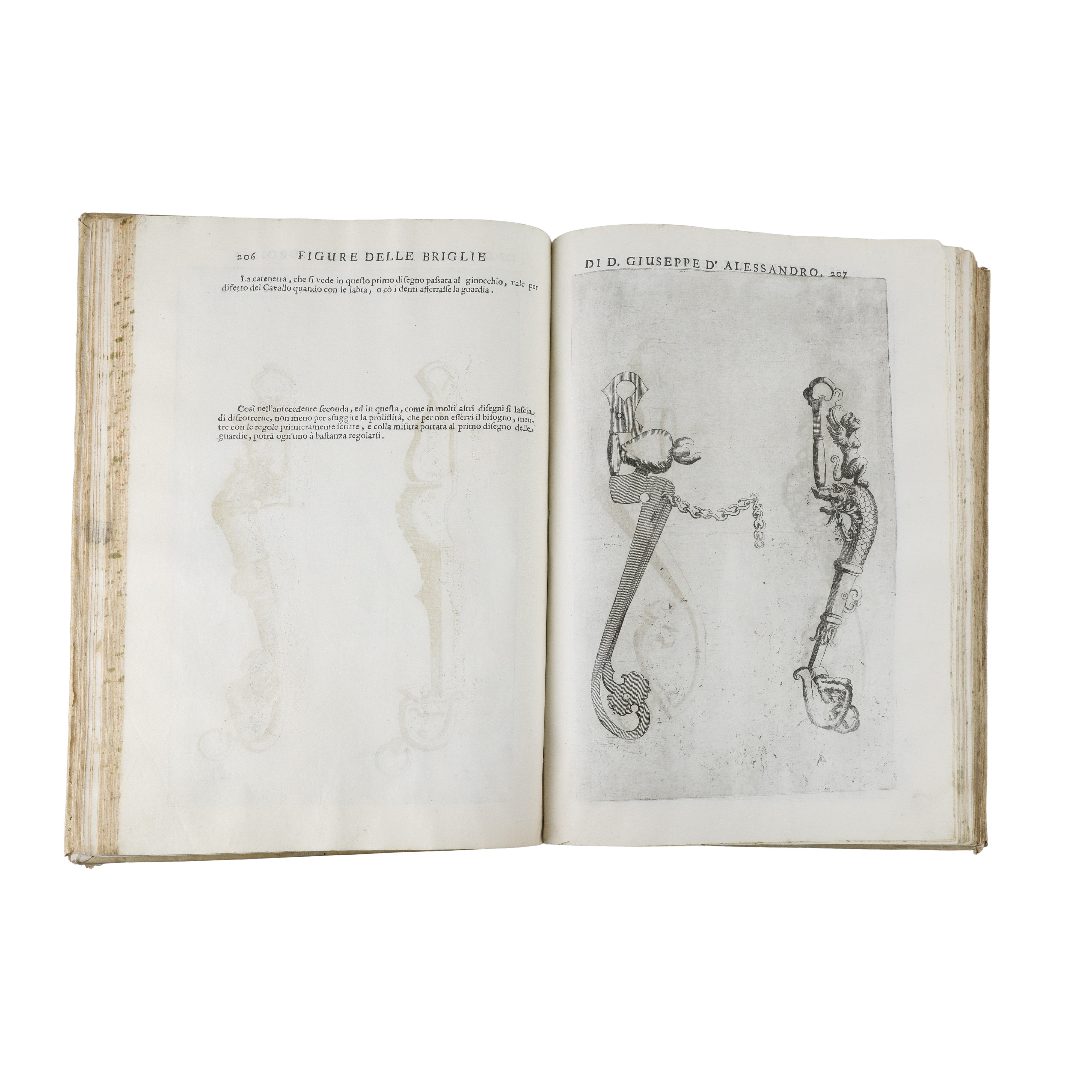 Opera di Giuseppe D’Alessandro Duca di Peschiolanciano divisa in cinque libri nei quali si tratta...