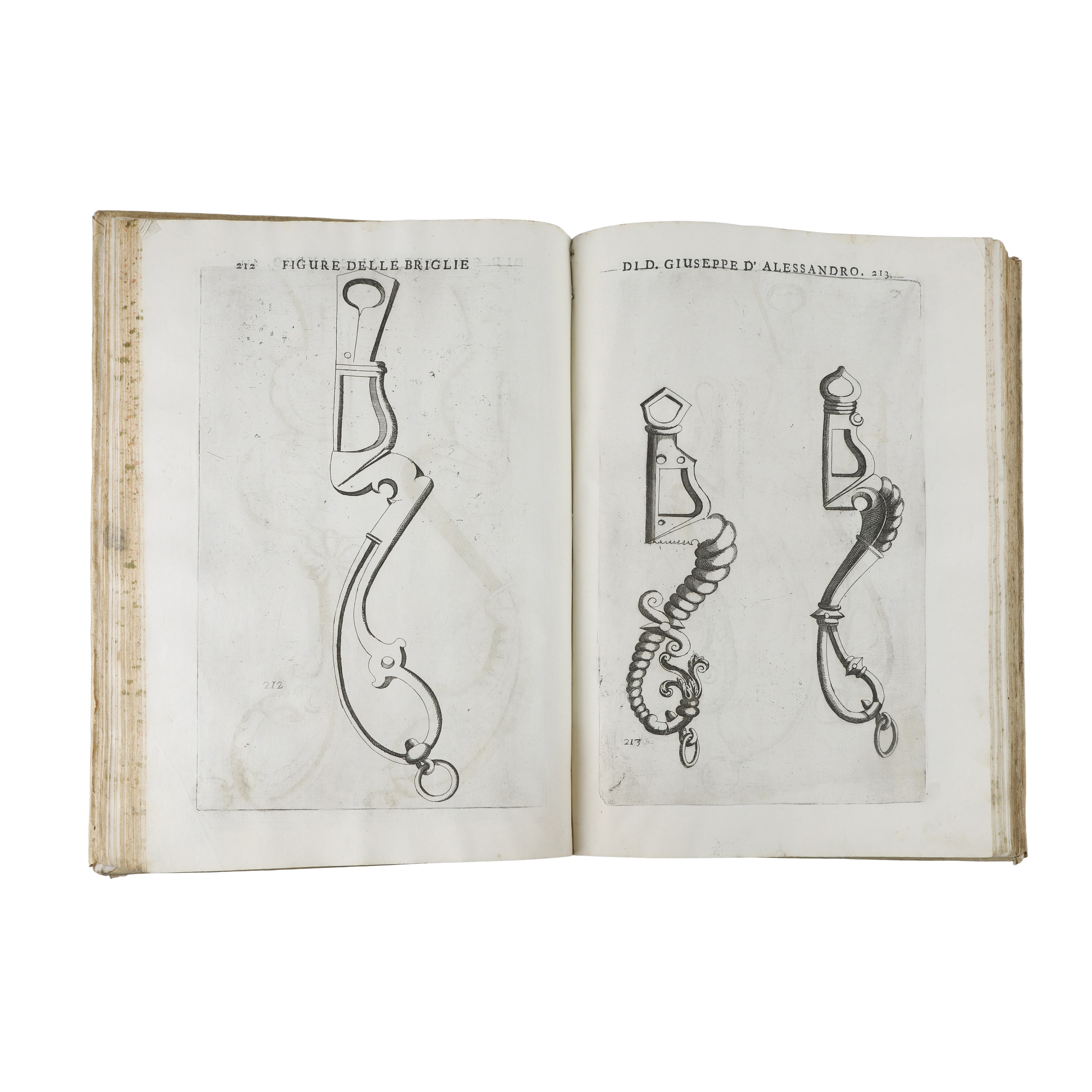 Opera di Giuseppe D’Alessandro Duca di Peschiolanciano divisa in cinque libri nei quali si tratta...