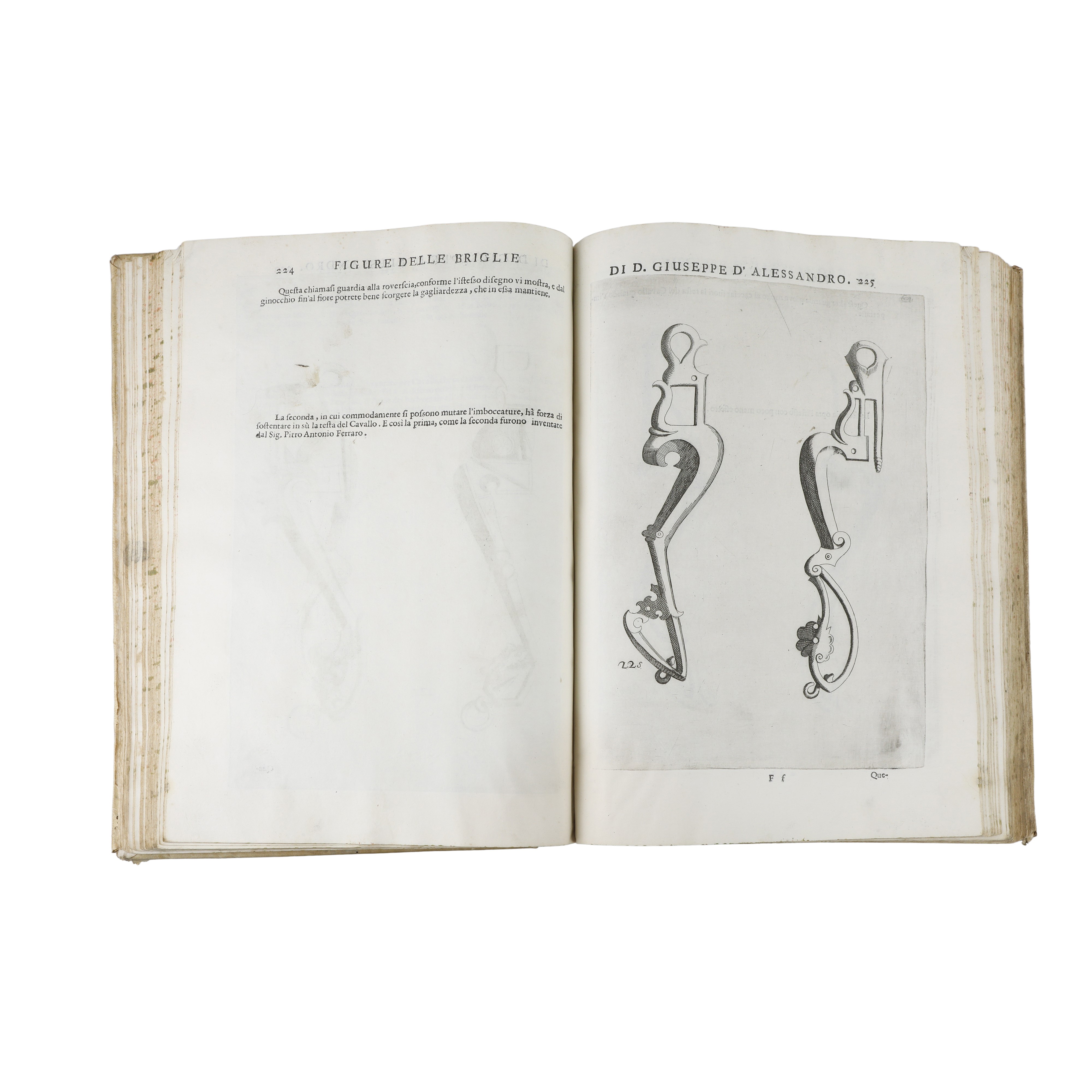Opera di Giuseppe D’Alessandro Duca di Peschiolanciano divisa in cinque libri nei quali si tratta...