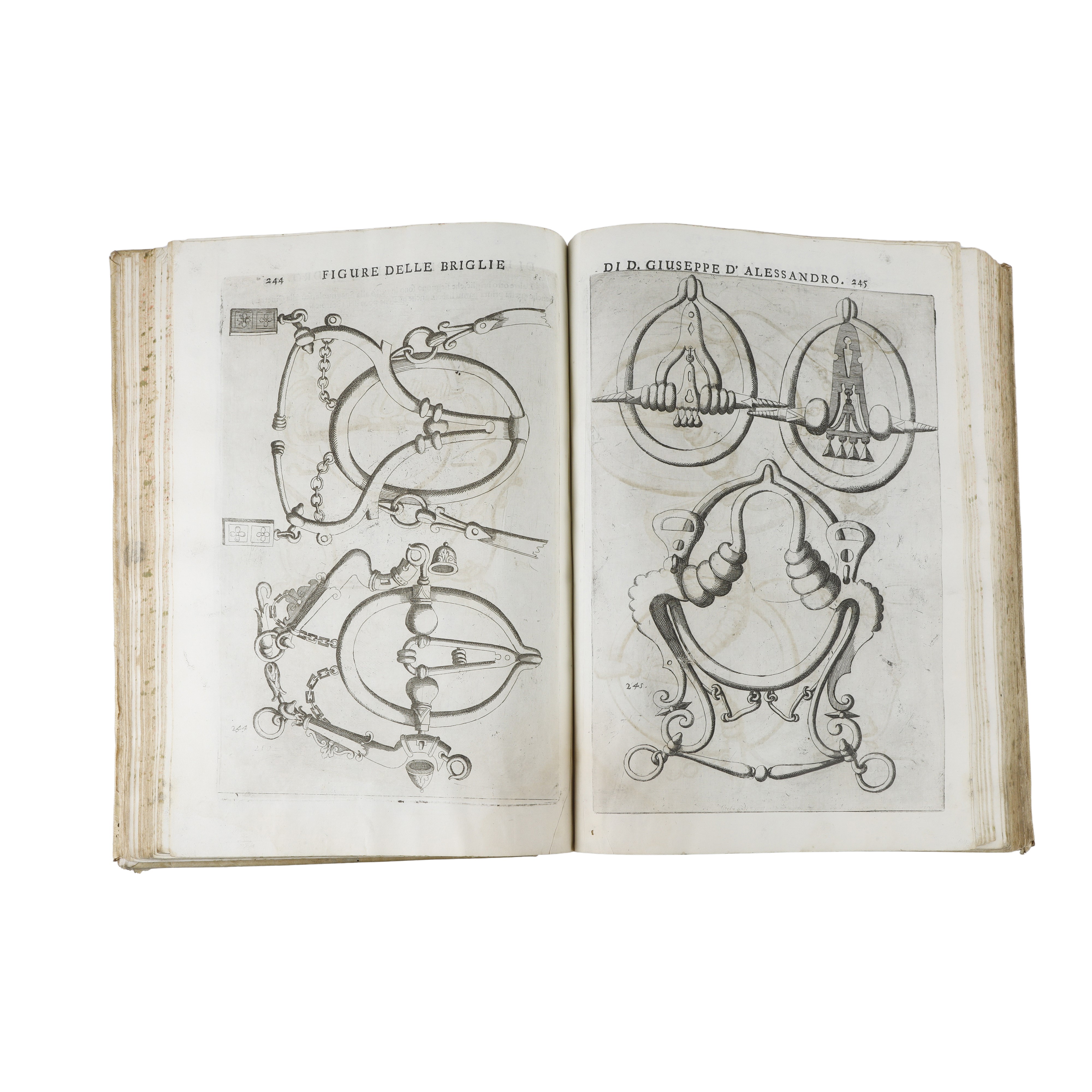Opera di Giuseppe D’Alessandro Duca di Peschiolanciano divisa in cinque libri nei quali si tratta...